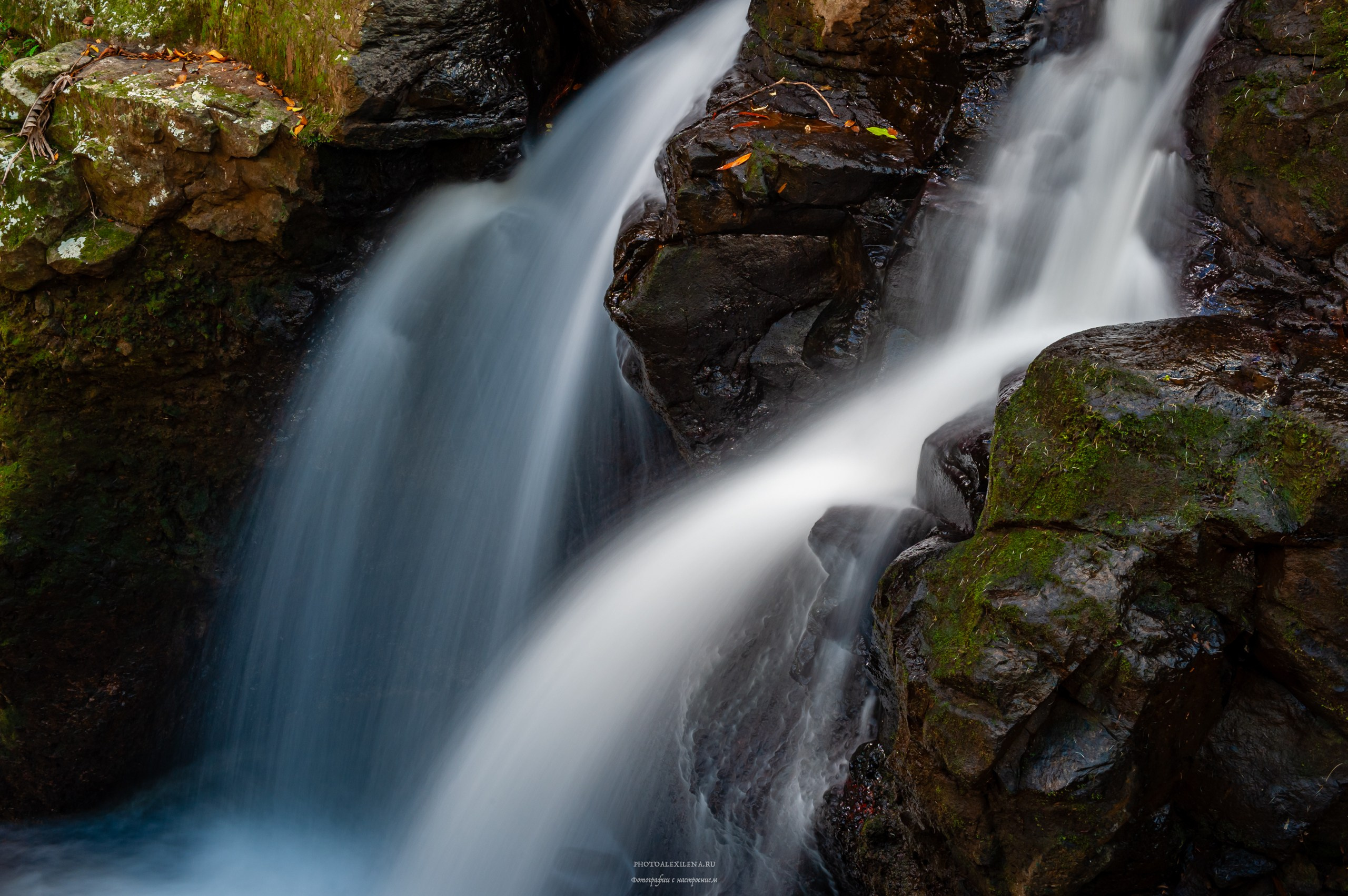 Осязаемая красота. Авторские стильные фотокартины