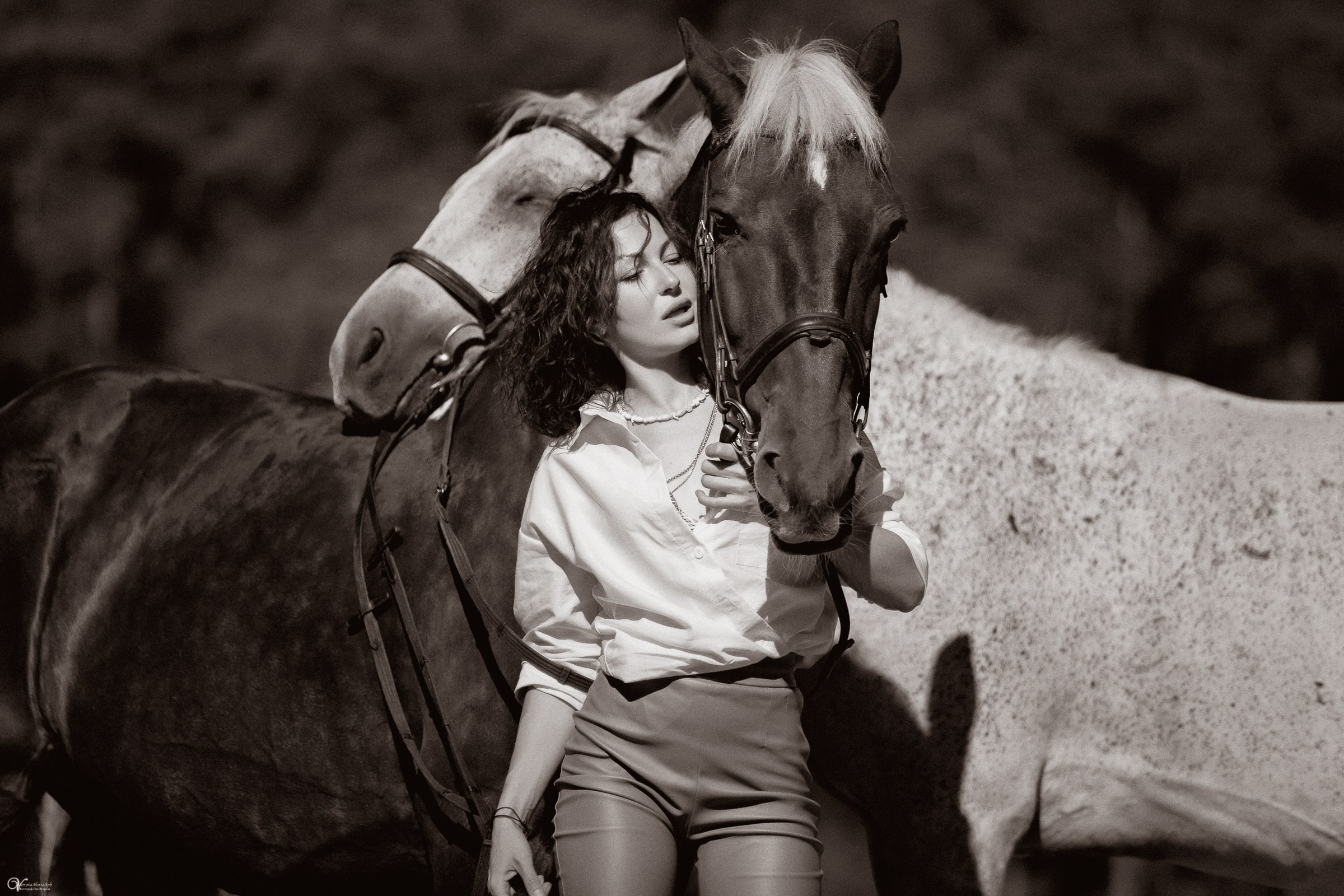 Фотосессия с лошадьми в катри-стиле. Фотограф женский и мужской портрет Санкт-Петербург