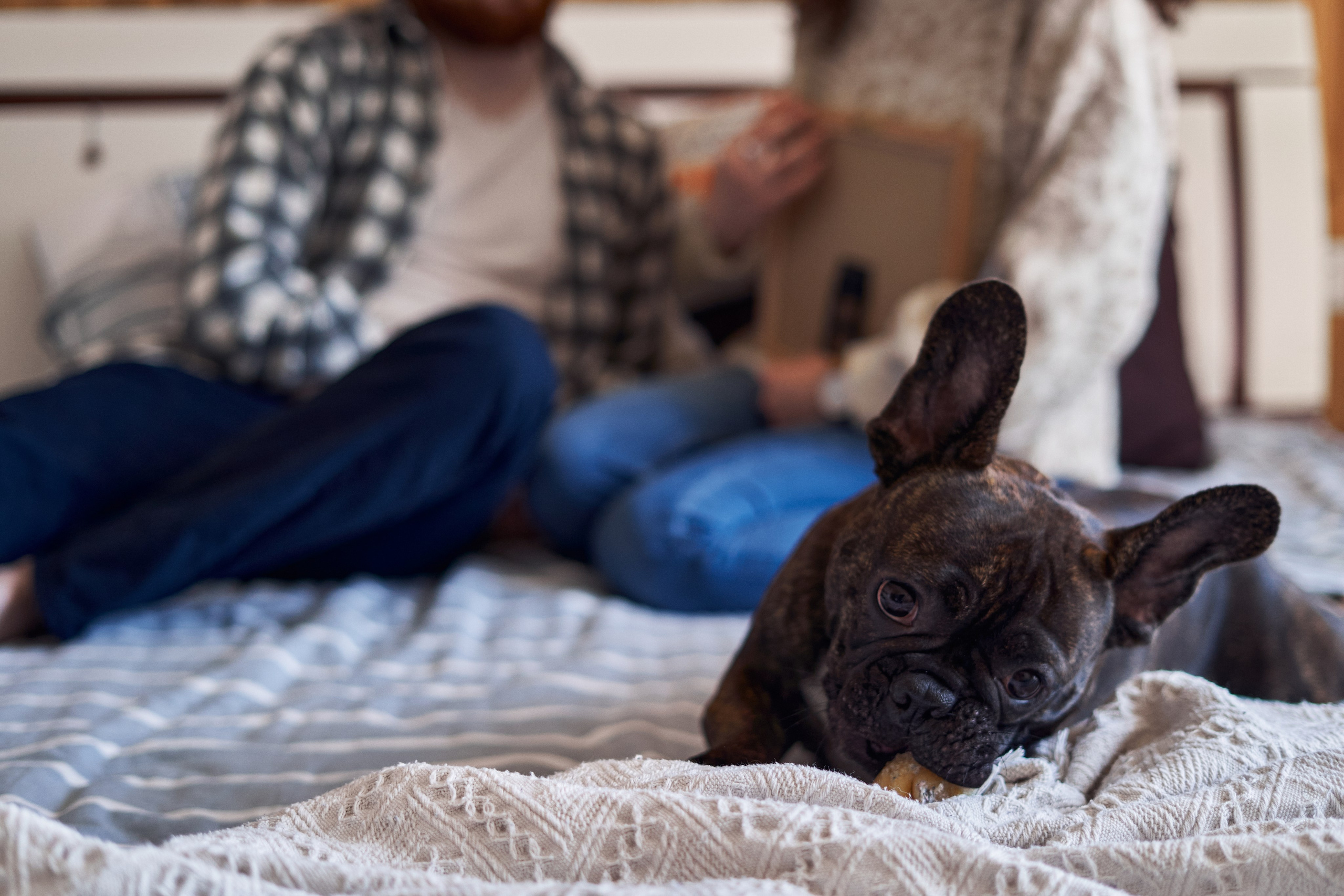 Kate and Aaron. Репортажный и свадебный фотограф Роман Яшкильдин