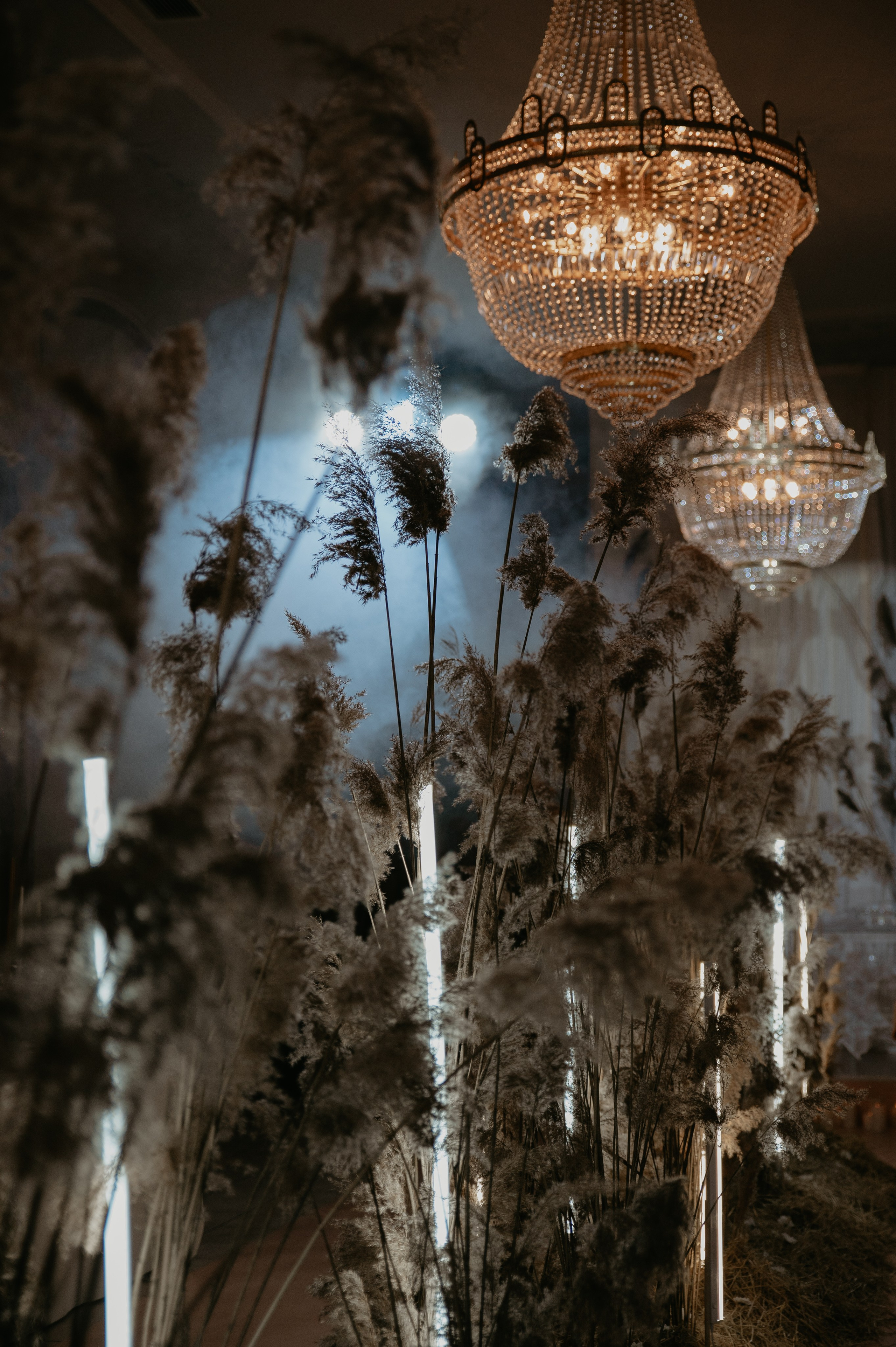 Свет очей моих. Свадебный фотограф Евгения Наумовец