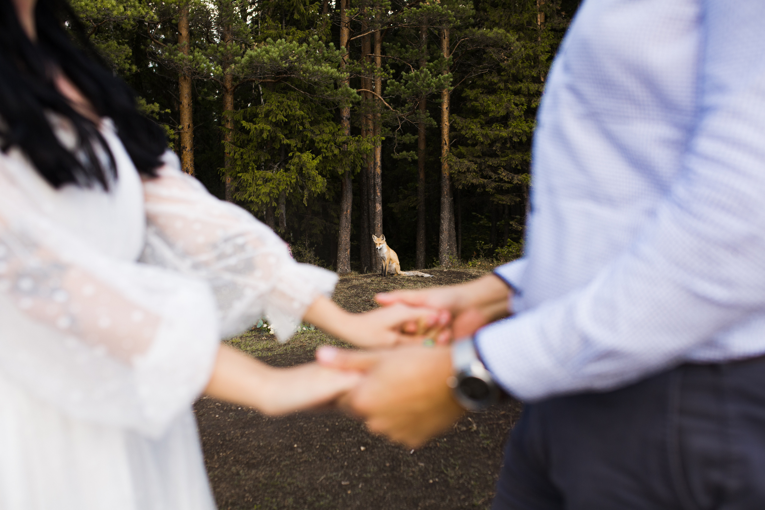 WeddingGrandTour Autumn — Anton & Maria. Свадебный, семейный фотограф и видеограф в Перми Павел Савин