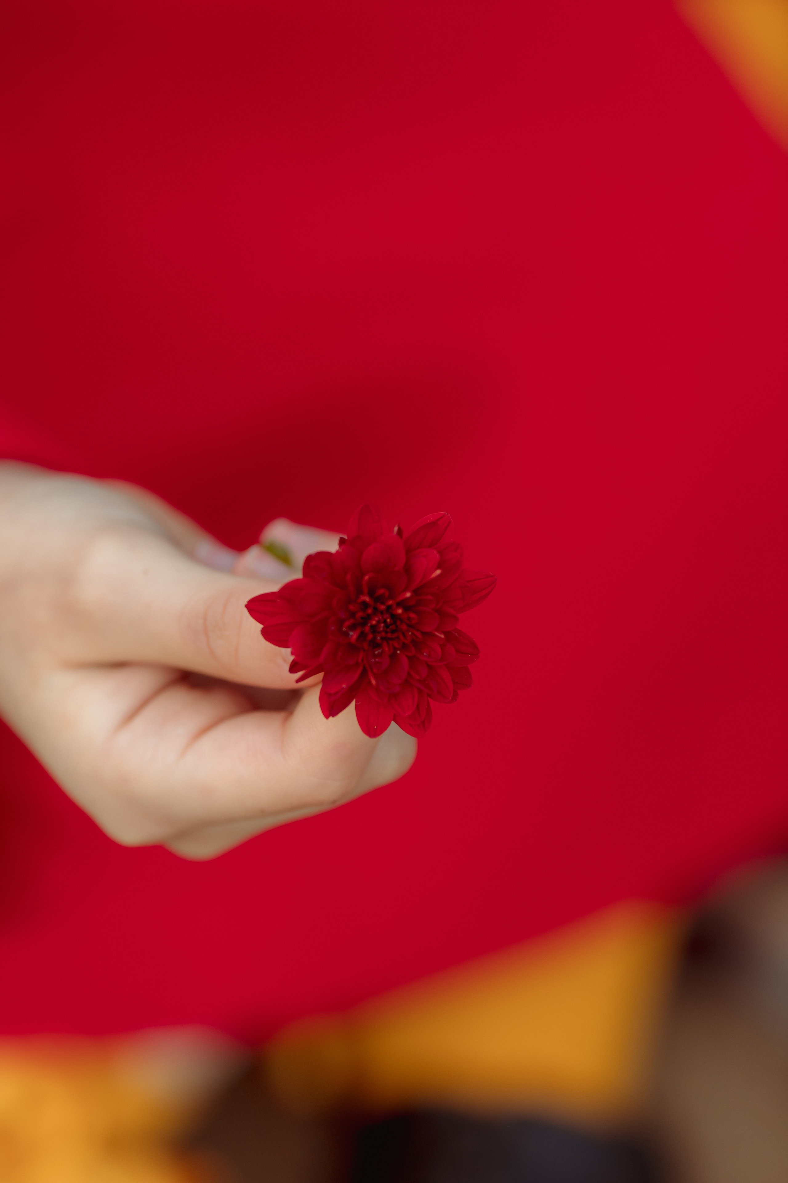 Осенний фотодень. Семейный и детский фотограф в Крыму Екатерина Швец