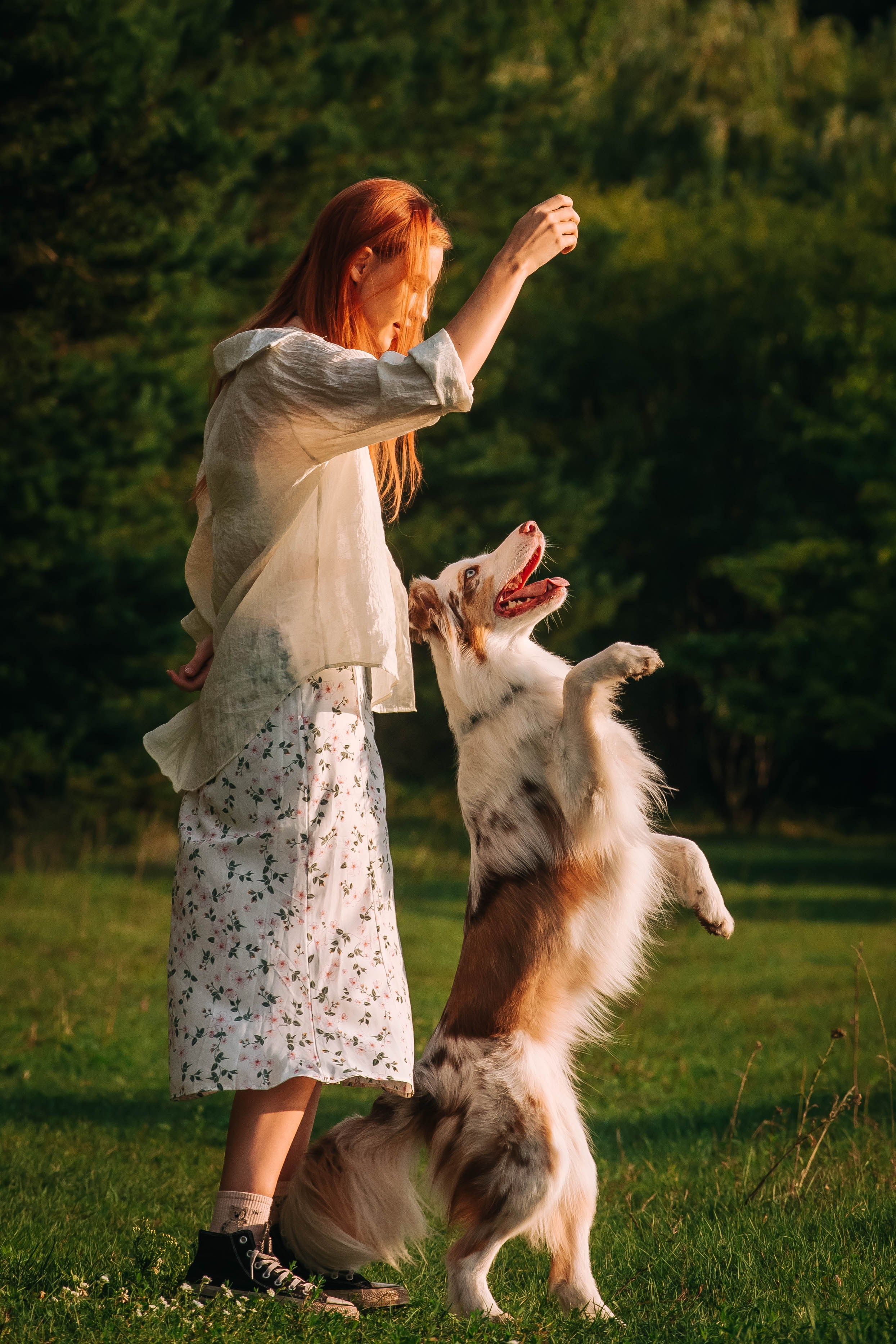 Лиза и Айви. Главная