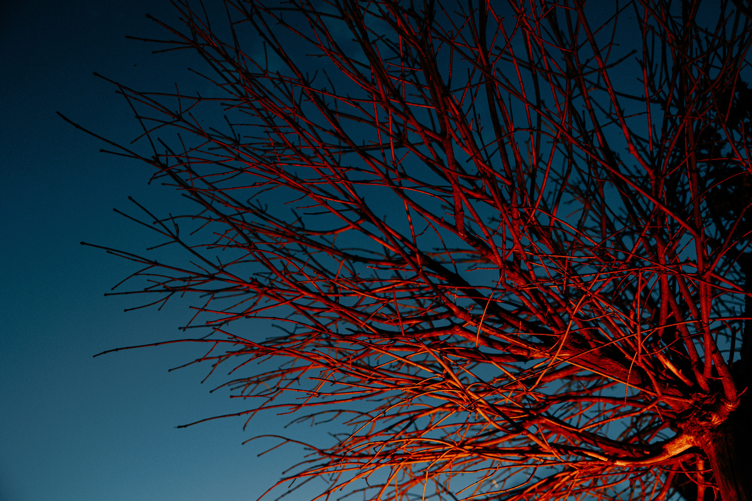 Victoria & Vadim. Свадебный фотограф Павел Фурашов в Нижнем Новгороде | Paul Matis