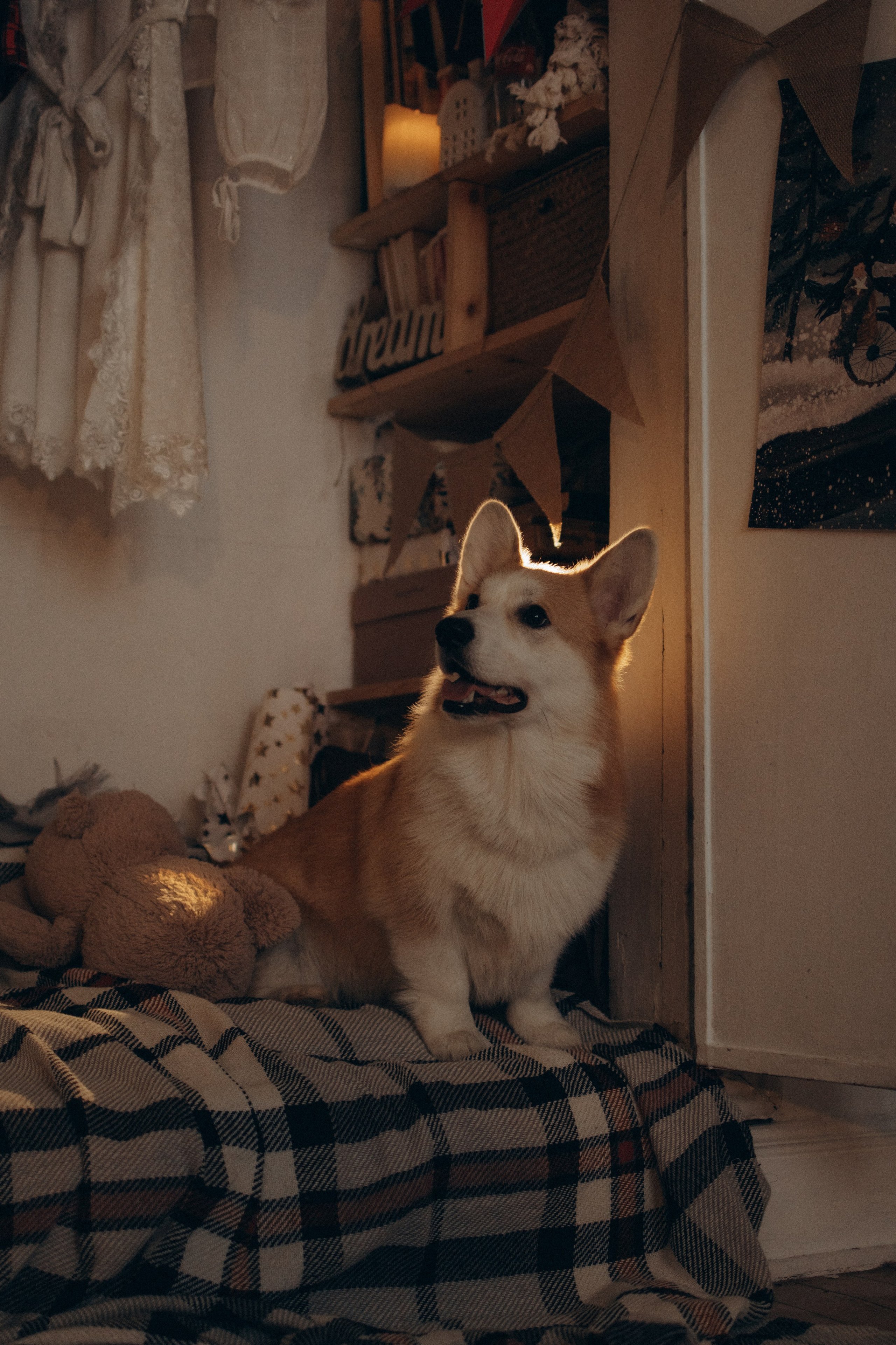 Ронни и Жанна. Фотораф — анималист Мария Шистка