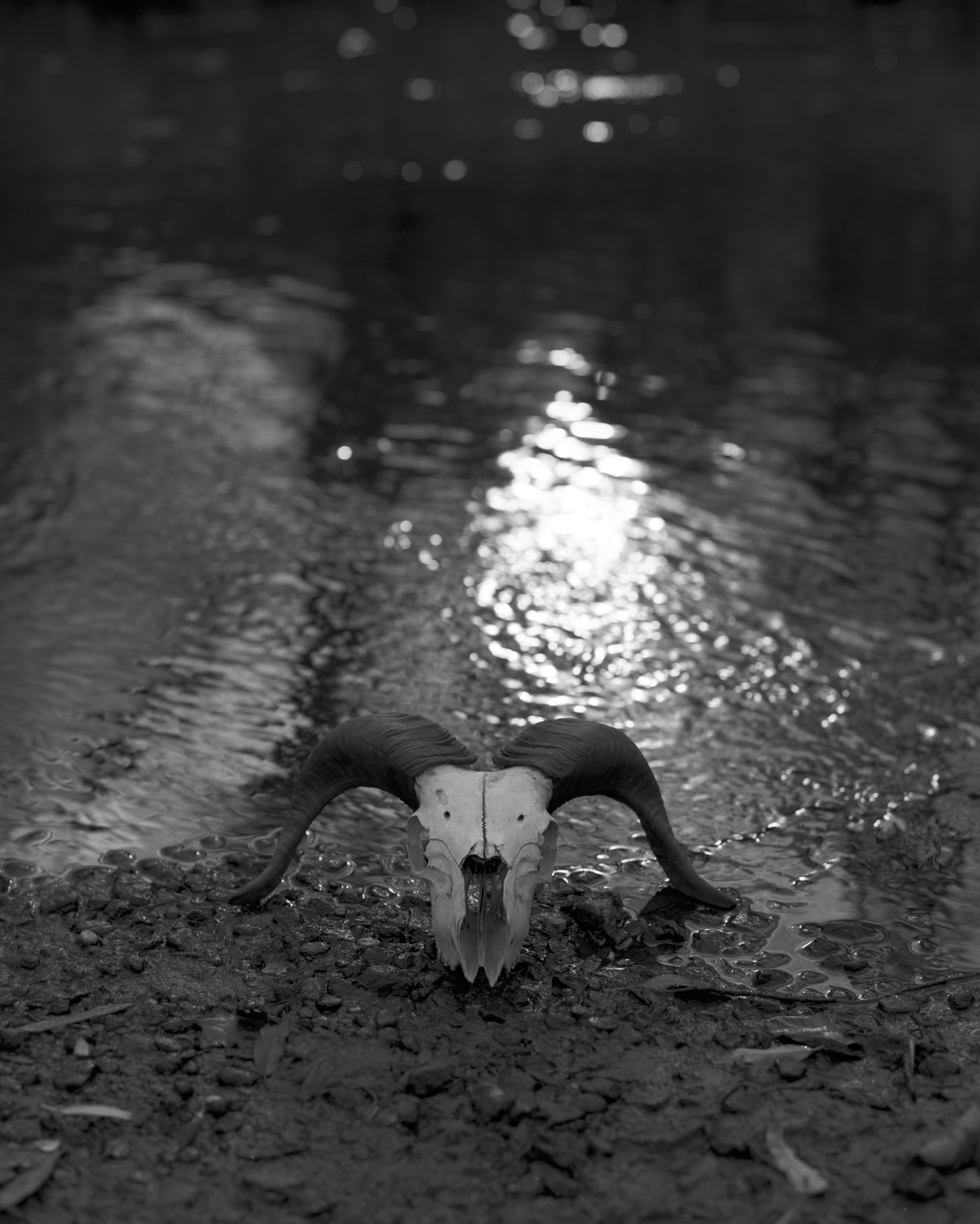 Прикосновение. Фотограф в Санкт-Петербурге Березовский Даниил