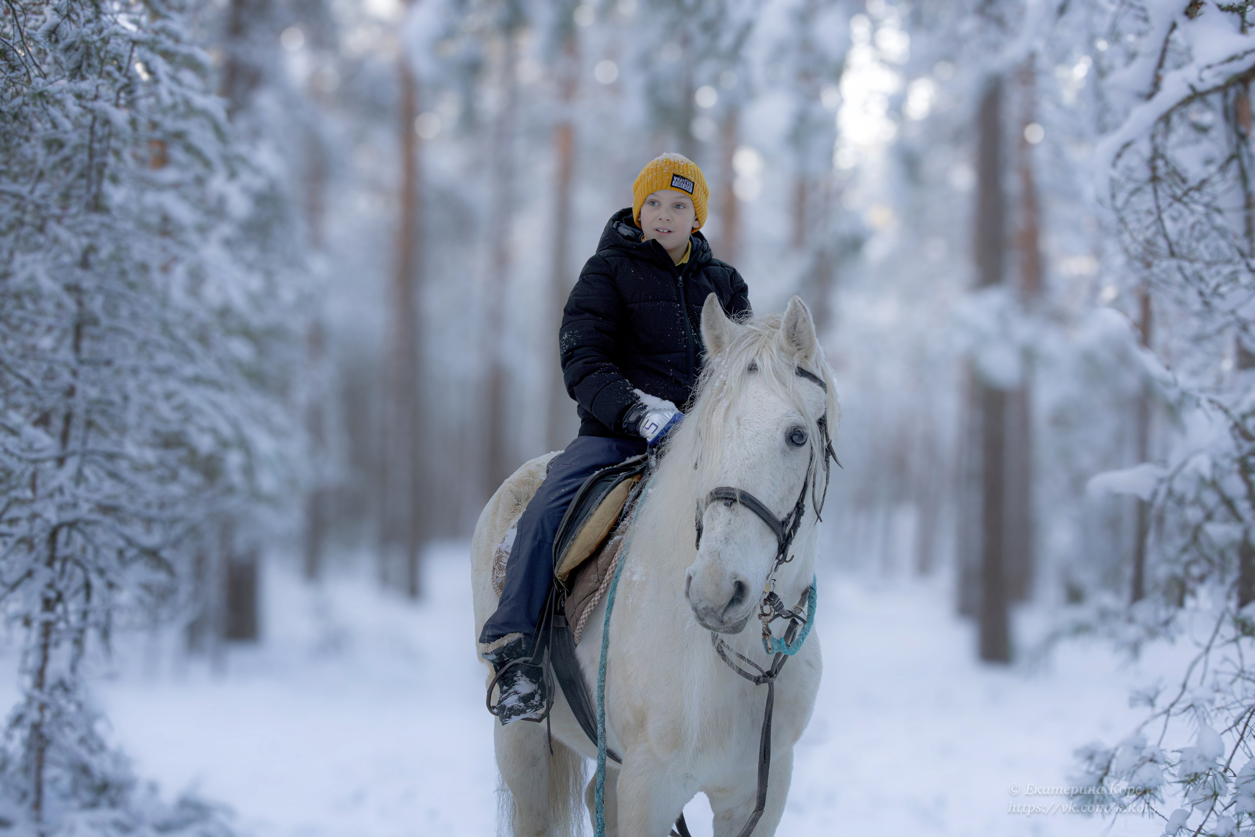 Лошади и люди. Главная