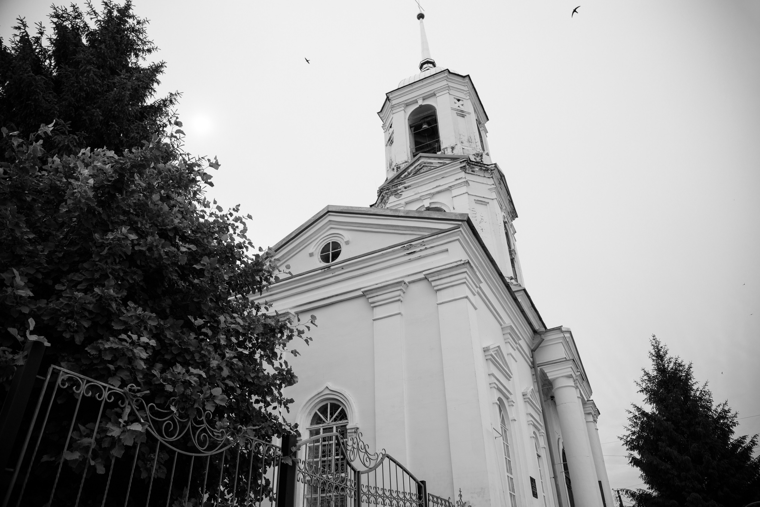 Матвей. Свадебный и семейный фотограф в городе Воронеж. Ирина Боловина