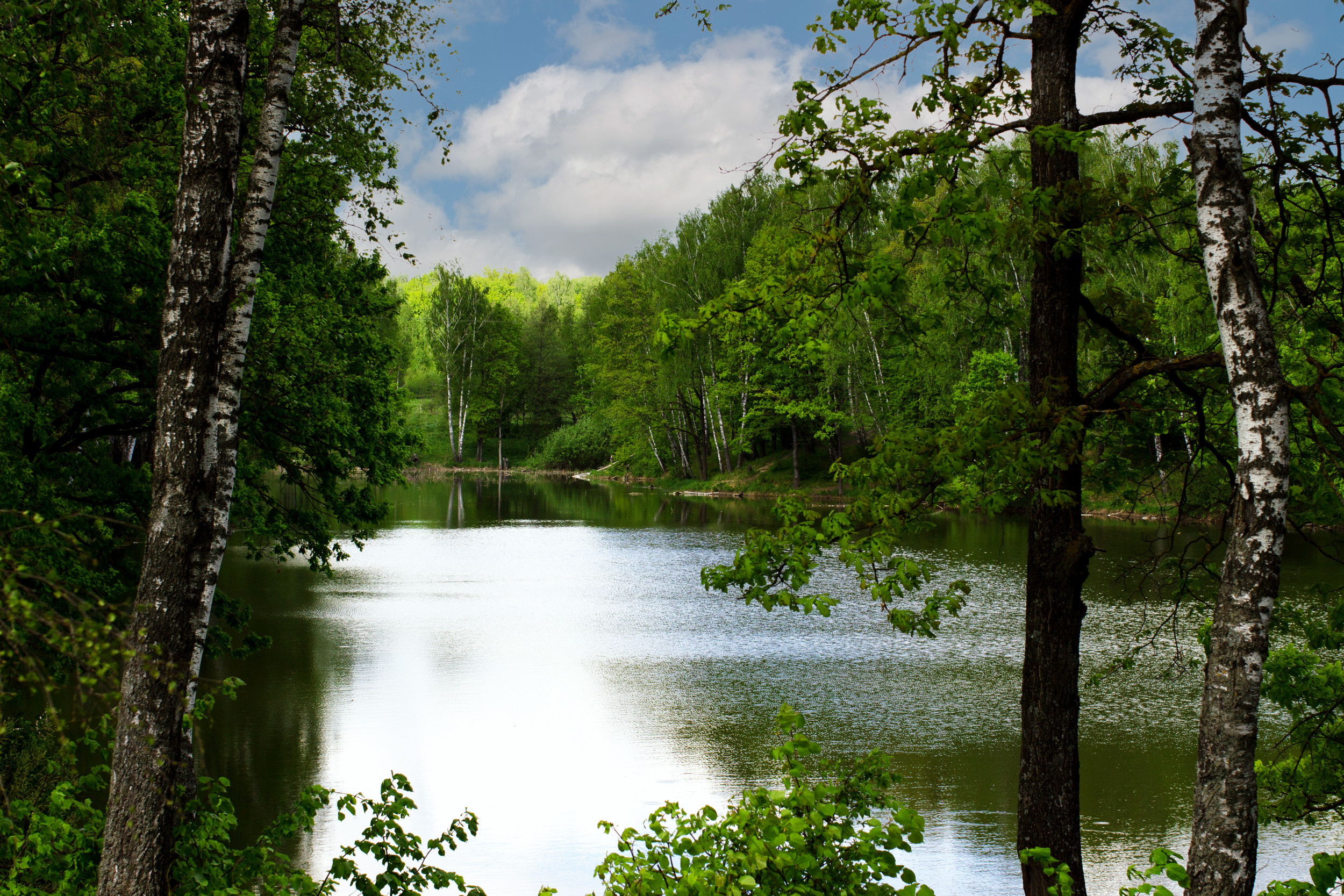 Калужский пейзаж. Калужский городской фотоконкурс