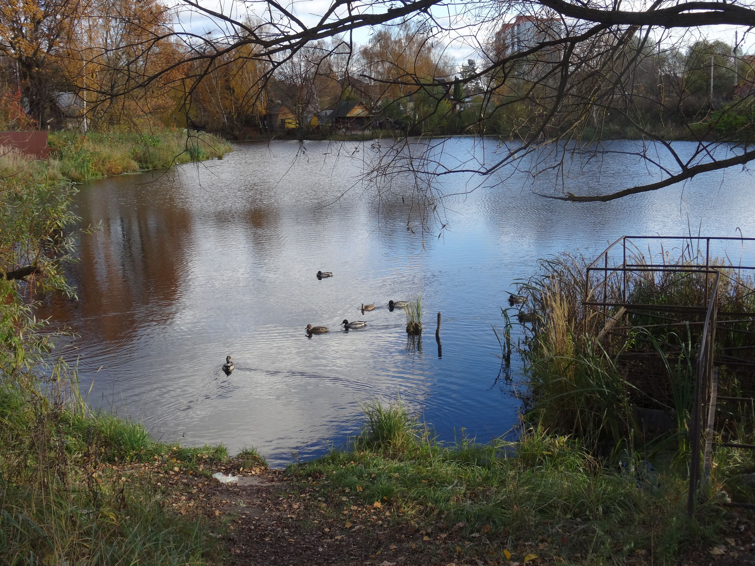 Калужский пейзаж. Калужский городской фотоконкурс