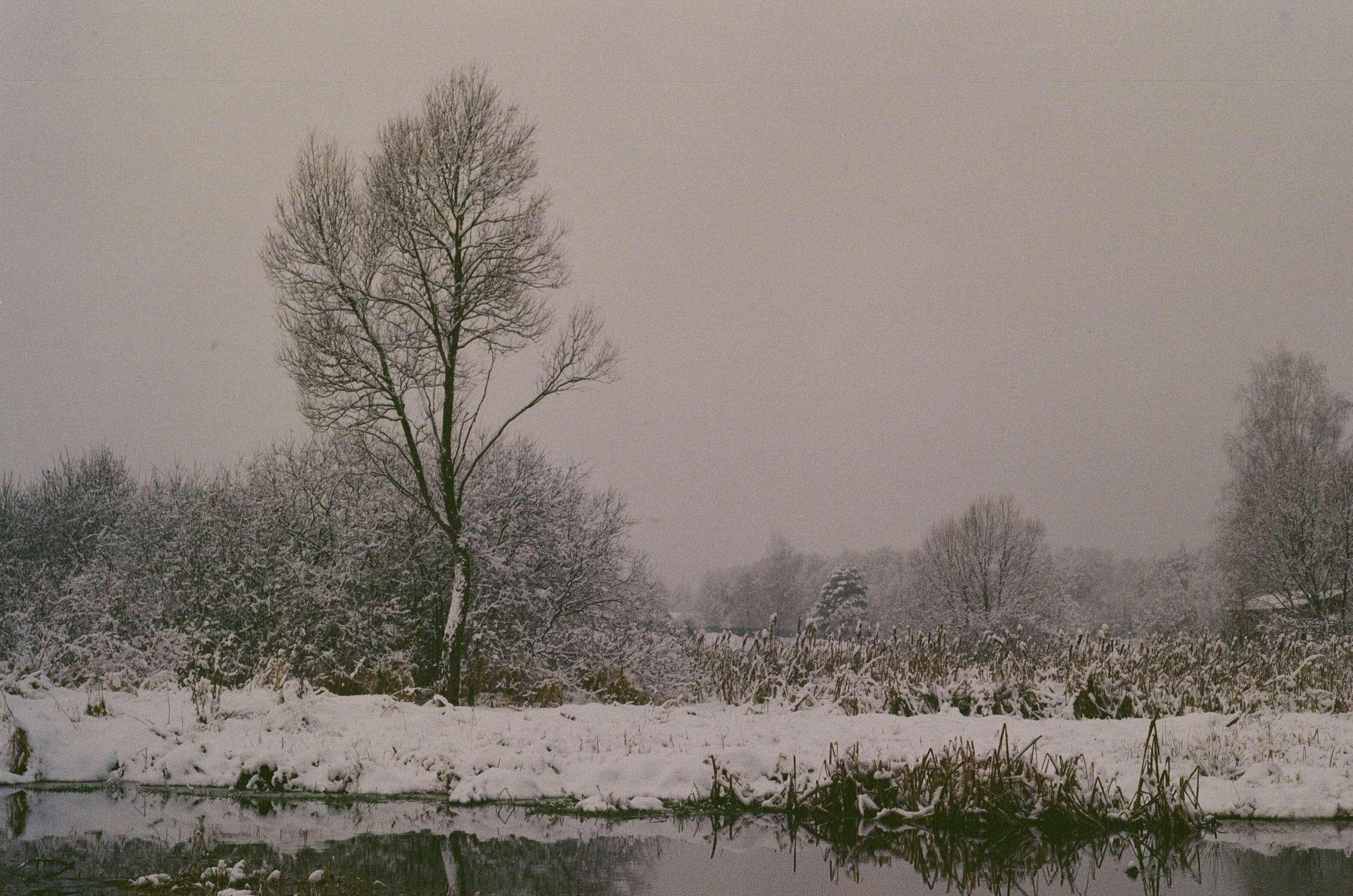 Калужский пейзаж. Калужский городской фотоконкурс