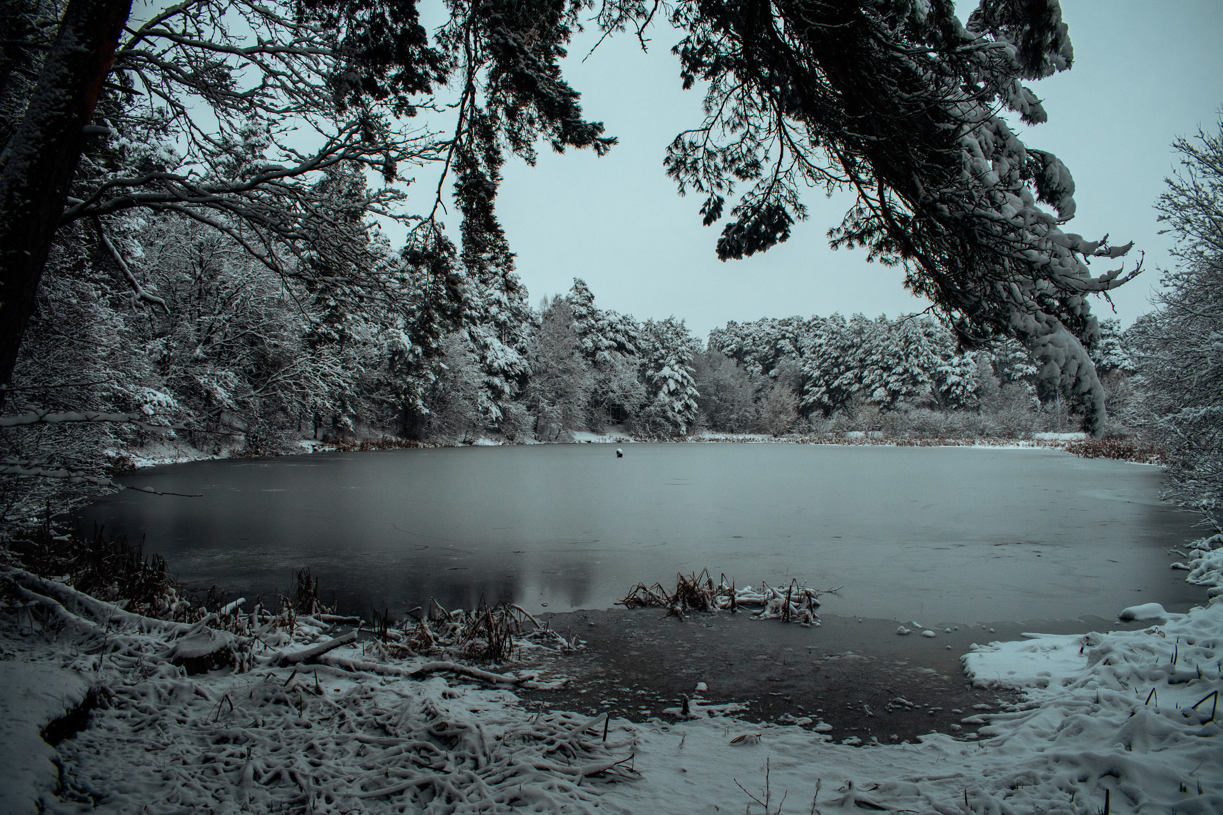 Калужский пейзаж. Калужский городской фотоконкурс