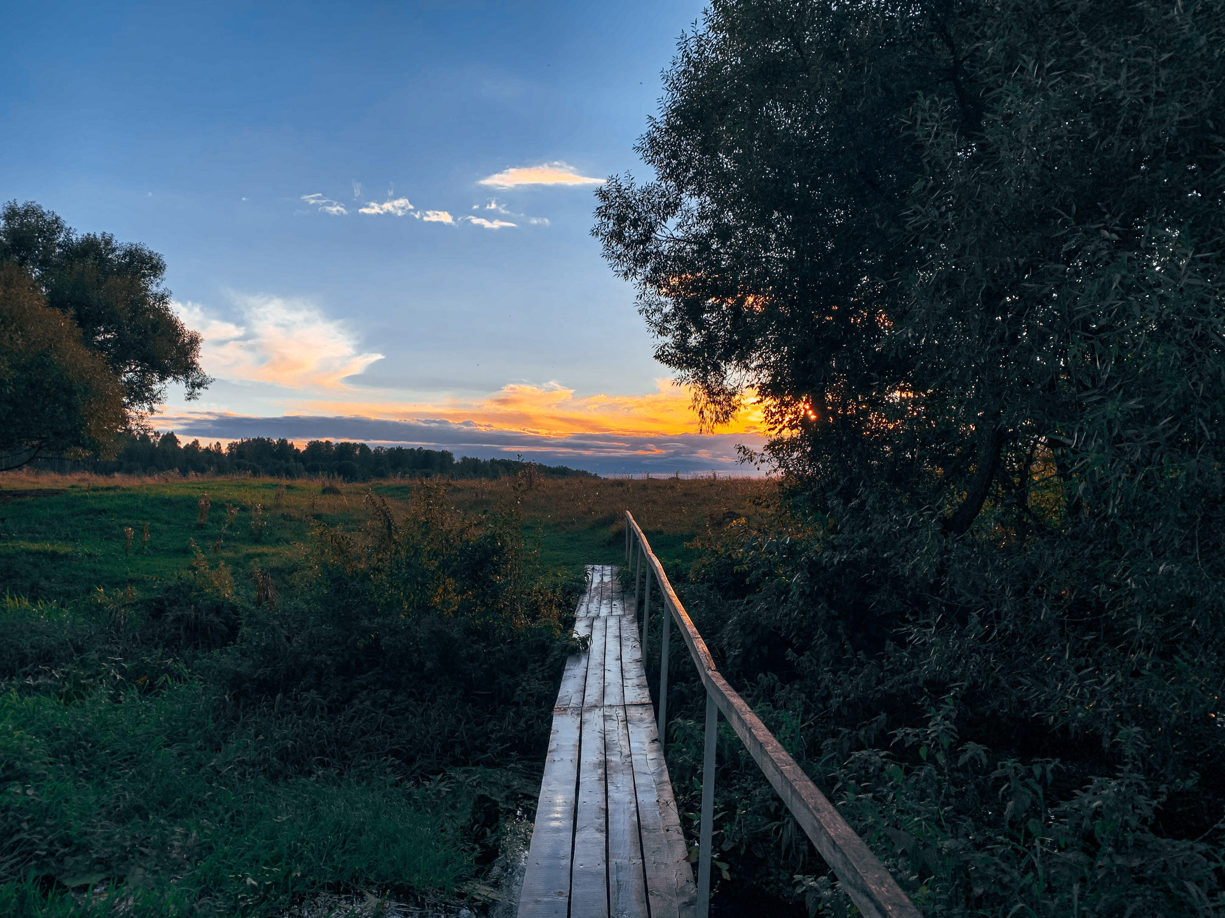 Калужский пейзаж. Калужский городской фотоконкурс