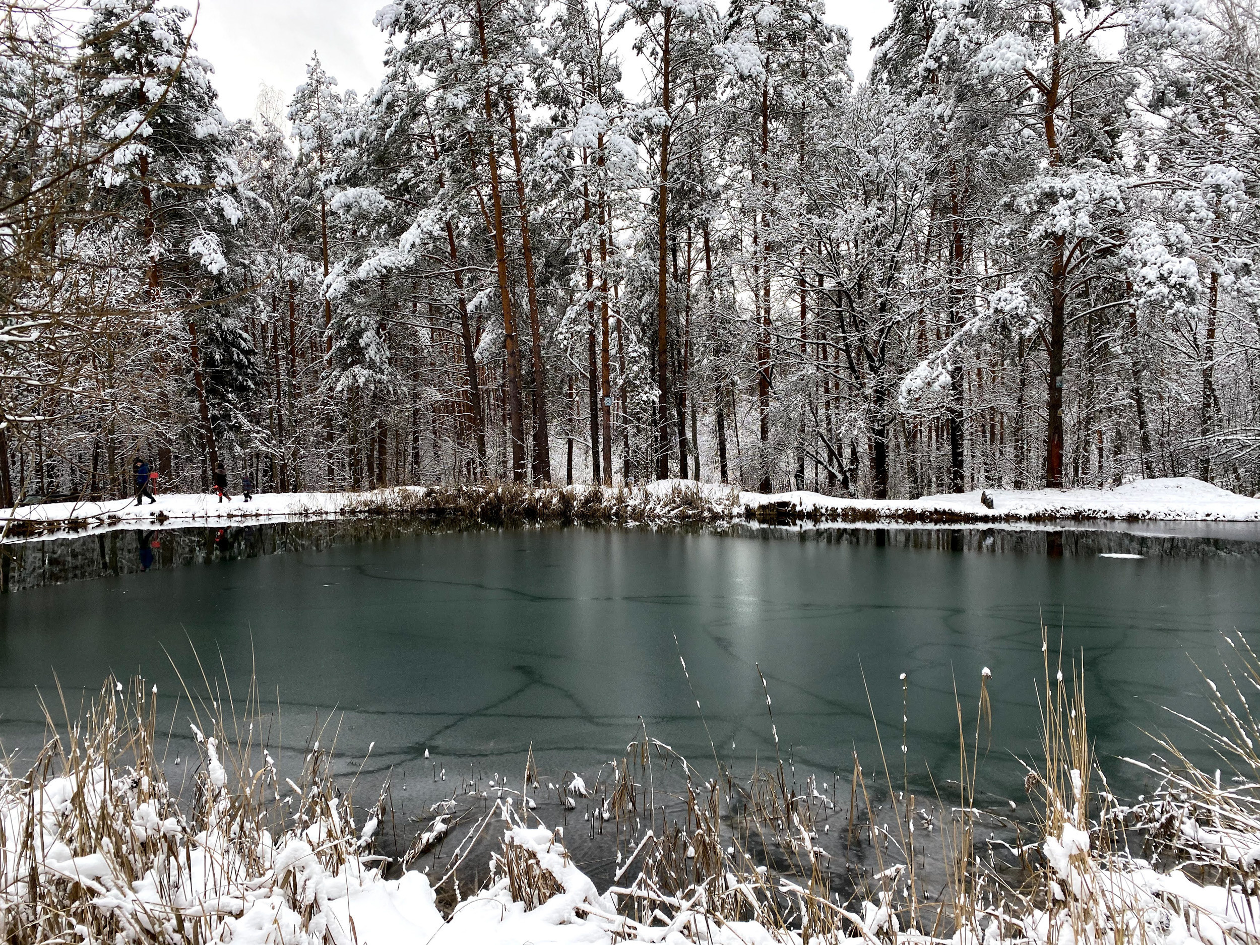 Калужский пейзаж. Калужский городской фотоконкурс
