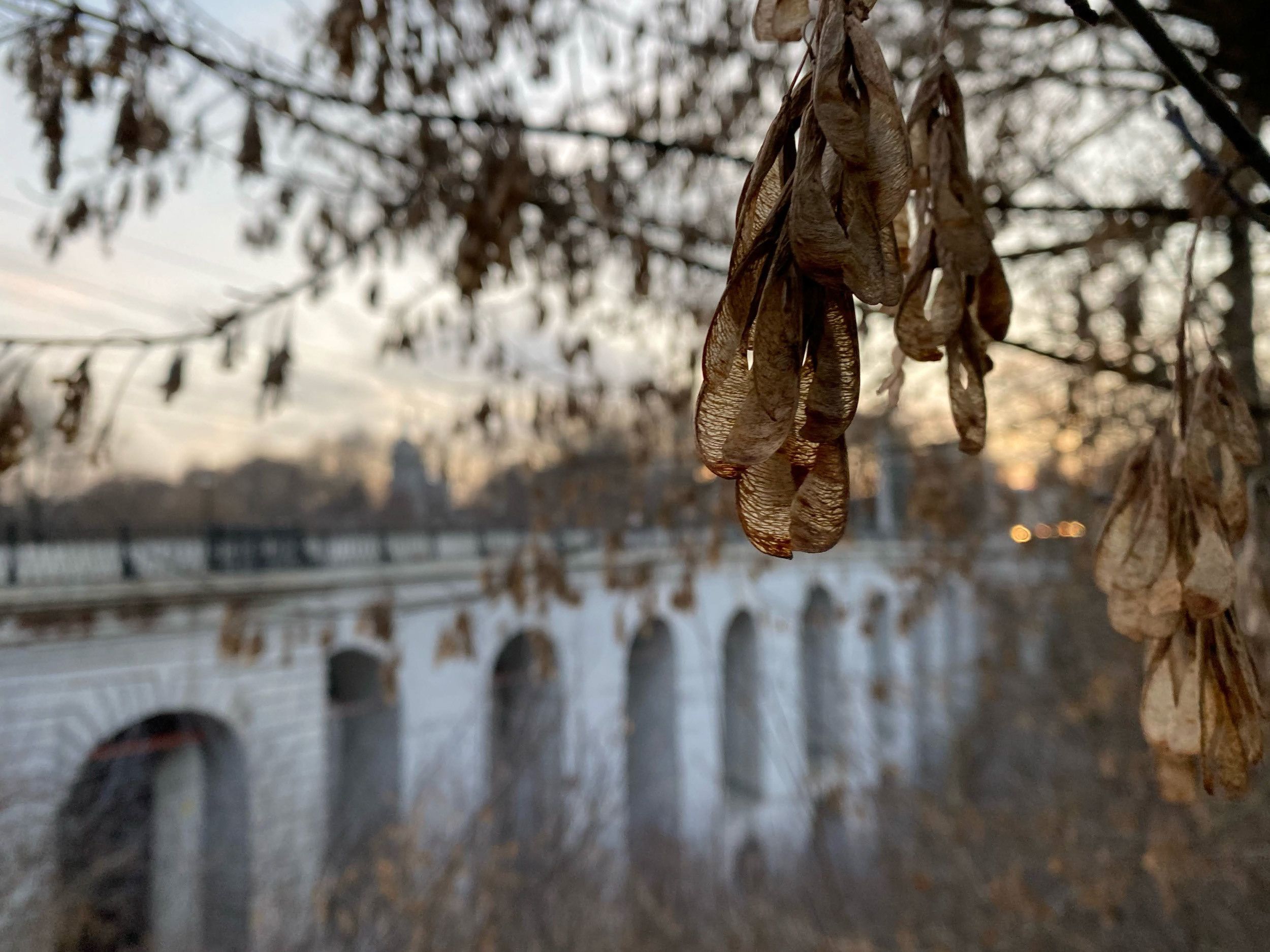 Мобильная фотография — Архитектура города Калуги. Калужский городской фотоконкурс