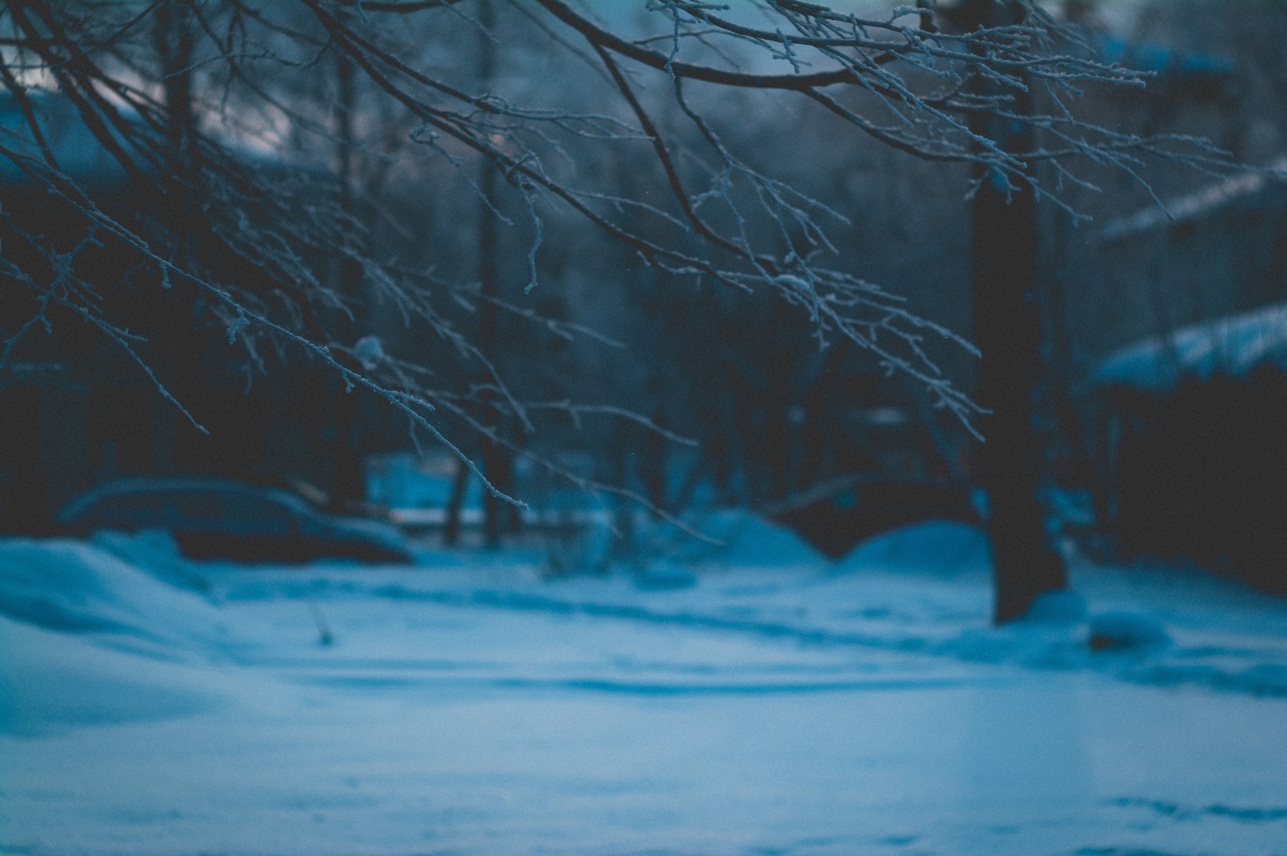 Мороз. Den Mirov — Фотограф, Музыкант