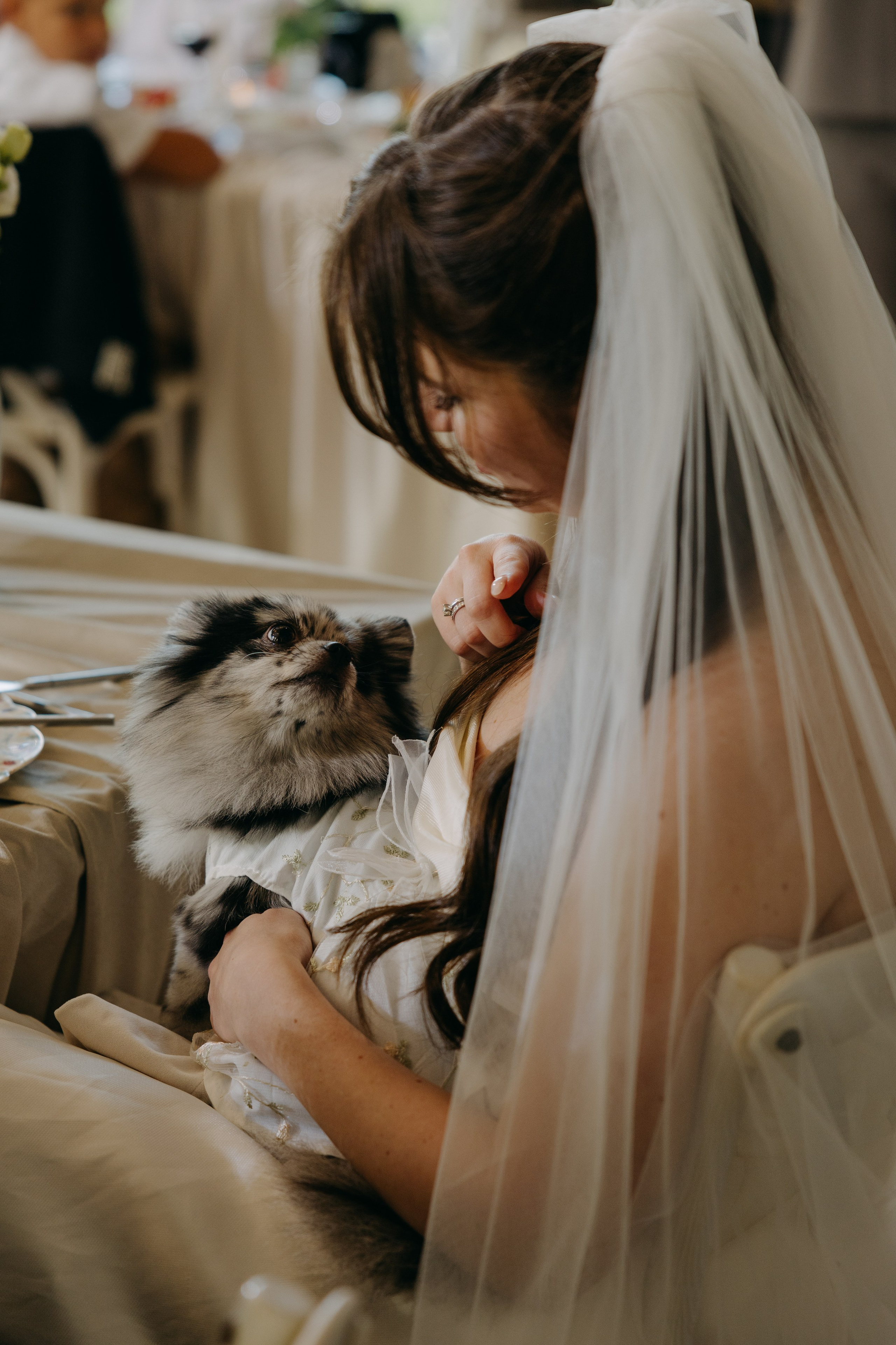 Утро в отеле Twelve Reasons и банкет в усадьбе Шелепаново. Свадебный фотограф Москва Анастасия Храмова