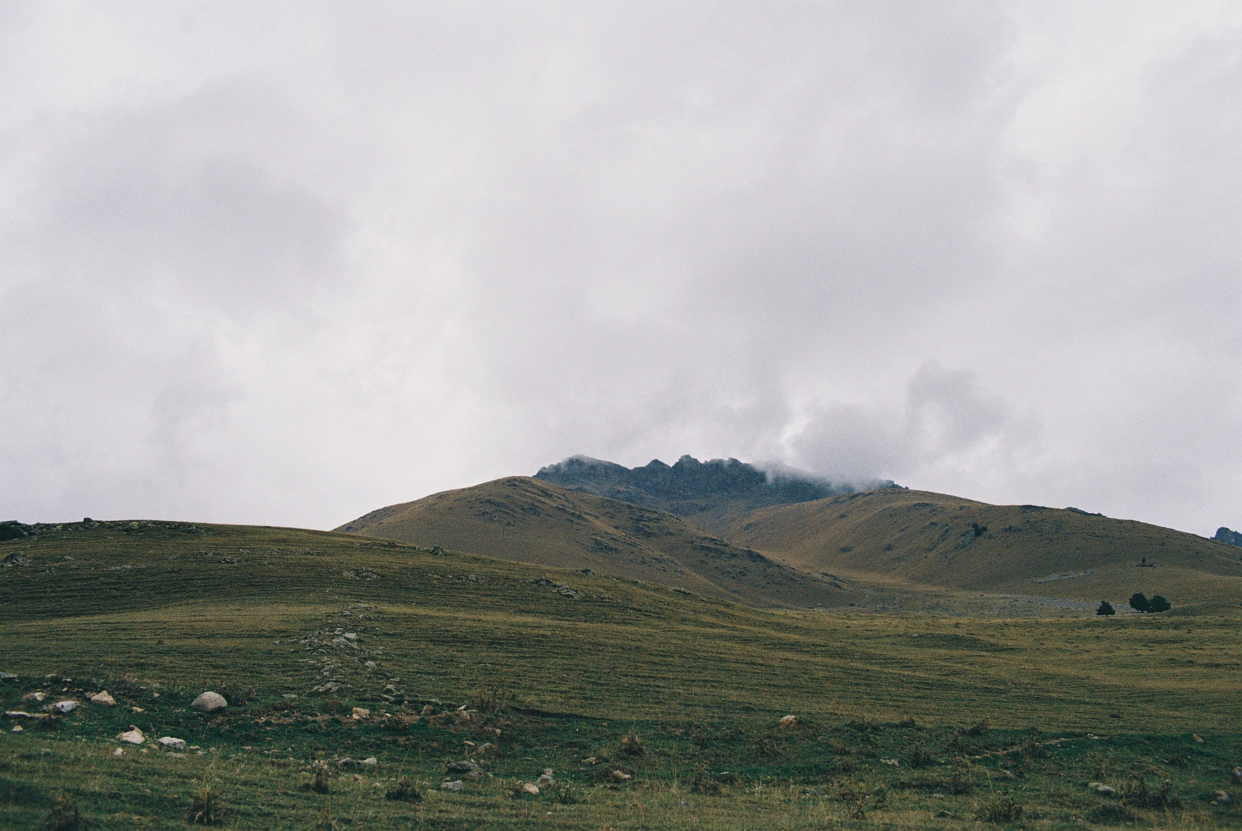 Пленка. Фотограф Ирина Гринько Тольятти Самара Москва