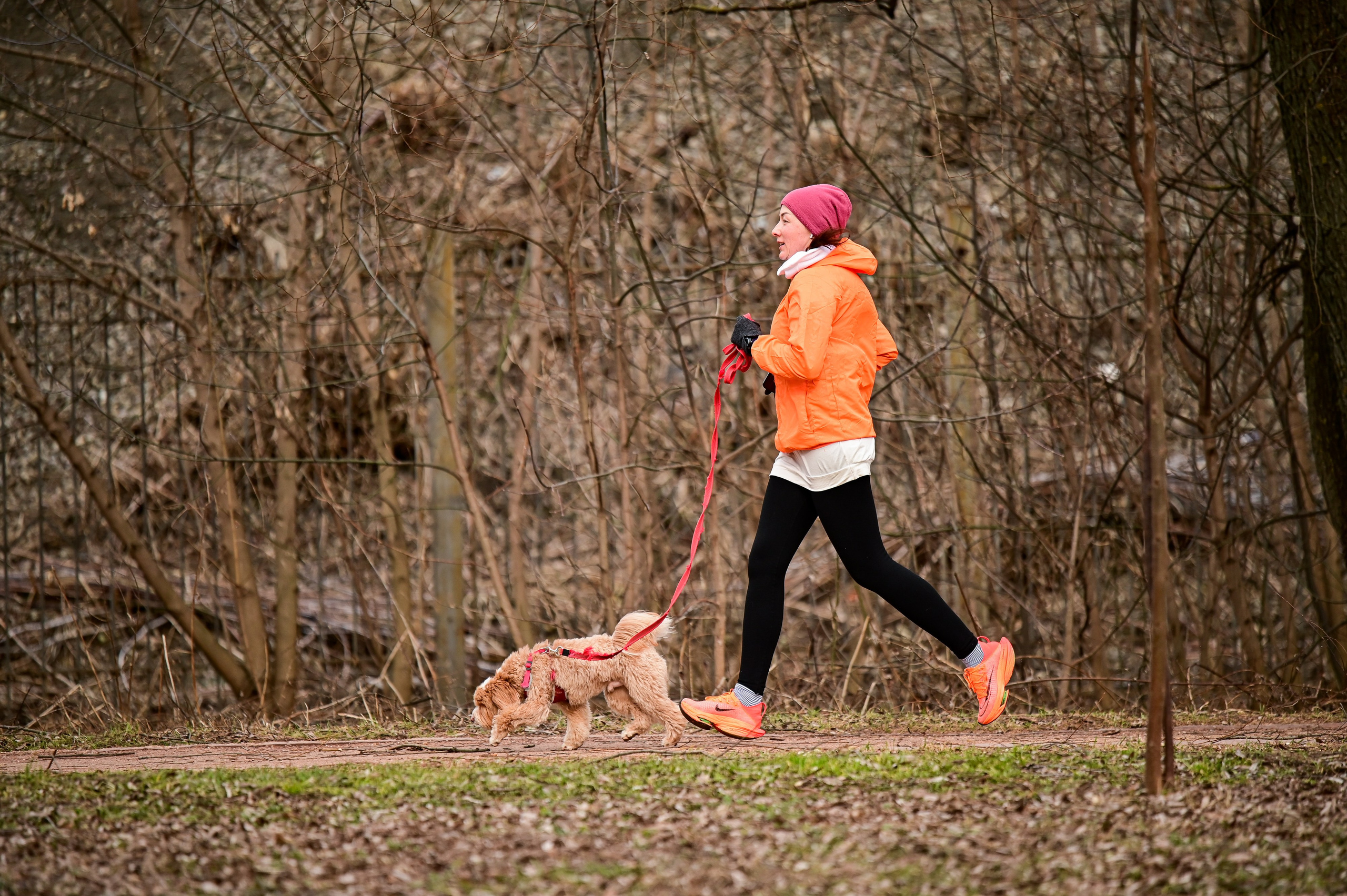 ЗабегИ в Царицыно. 3 года. Фотограф | Ирина Гамзинова | Москва