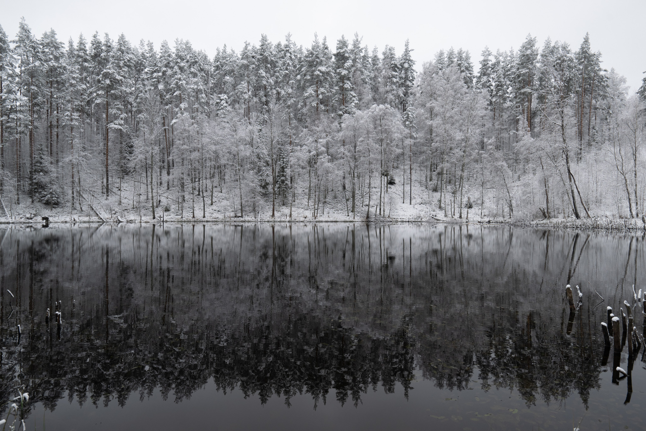 Пейзаж. Документальный фотограф Сергей Вдовин