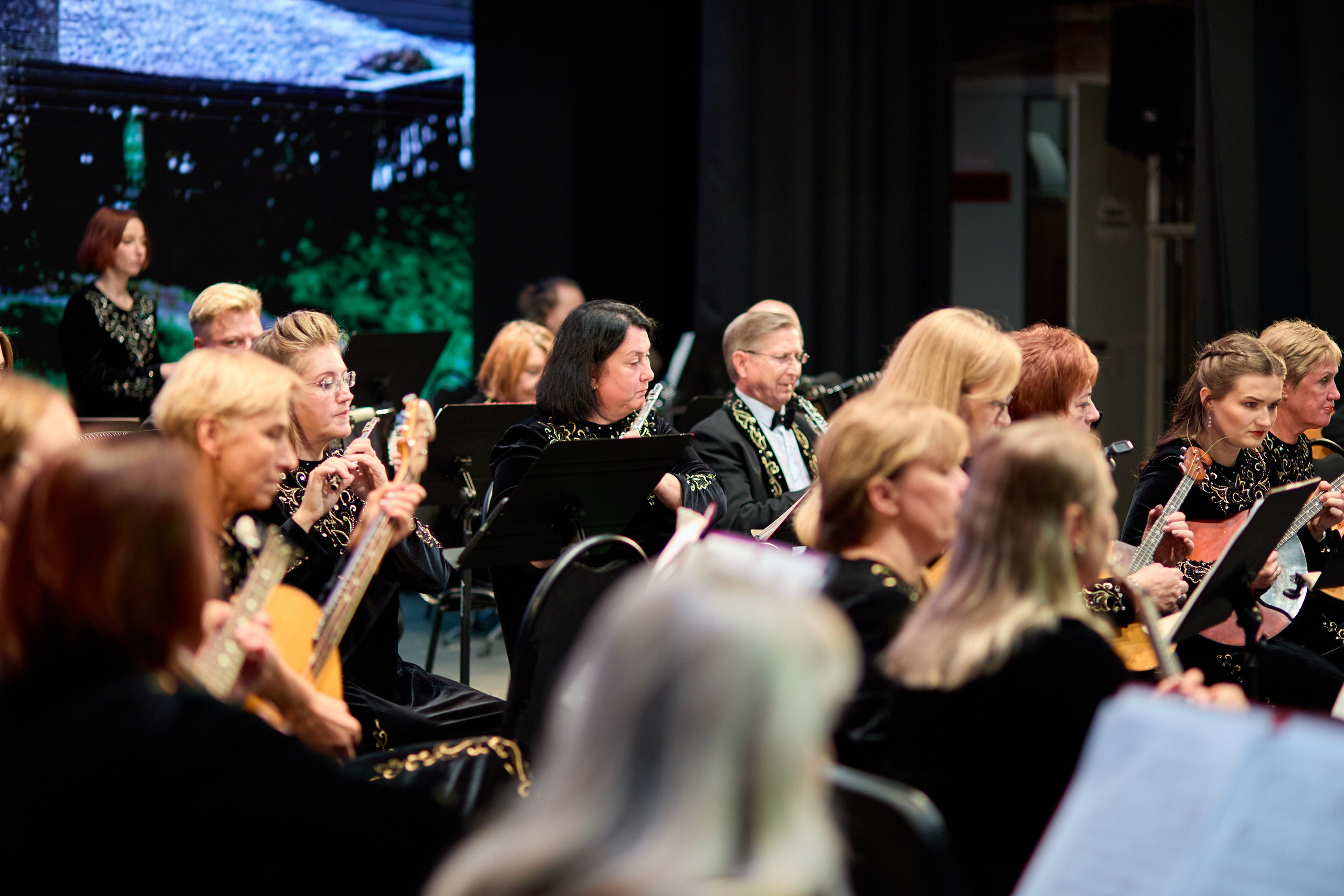 Филармония «Вокруг света в ритме танца». Фотограф Илья Прохоров в Кирове