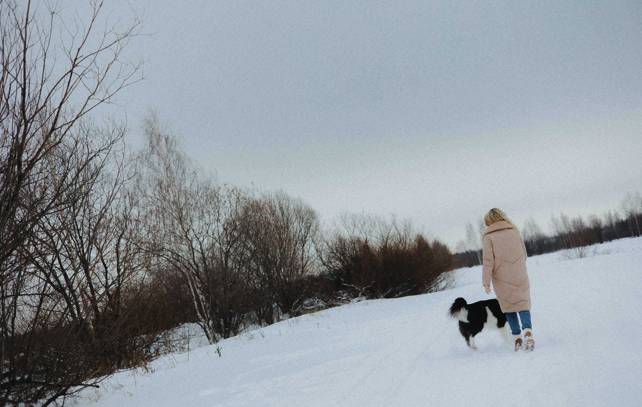 Анна и Тео. Фотограф-анималист Богданова Полина