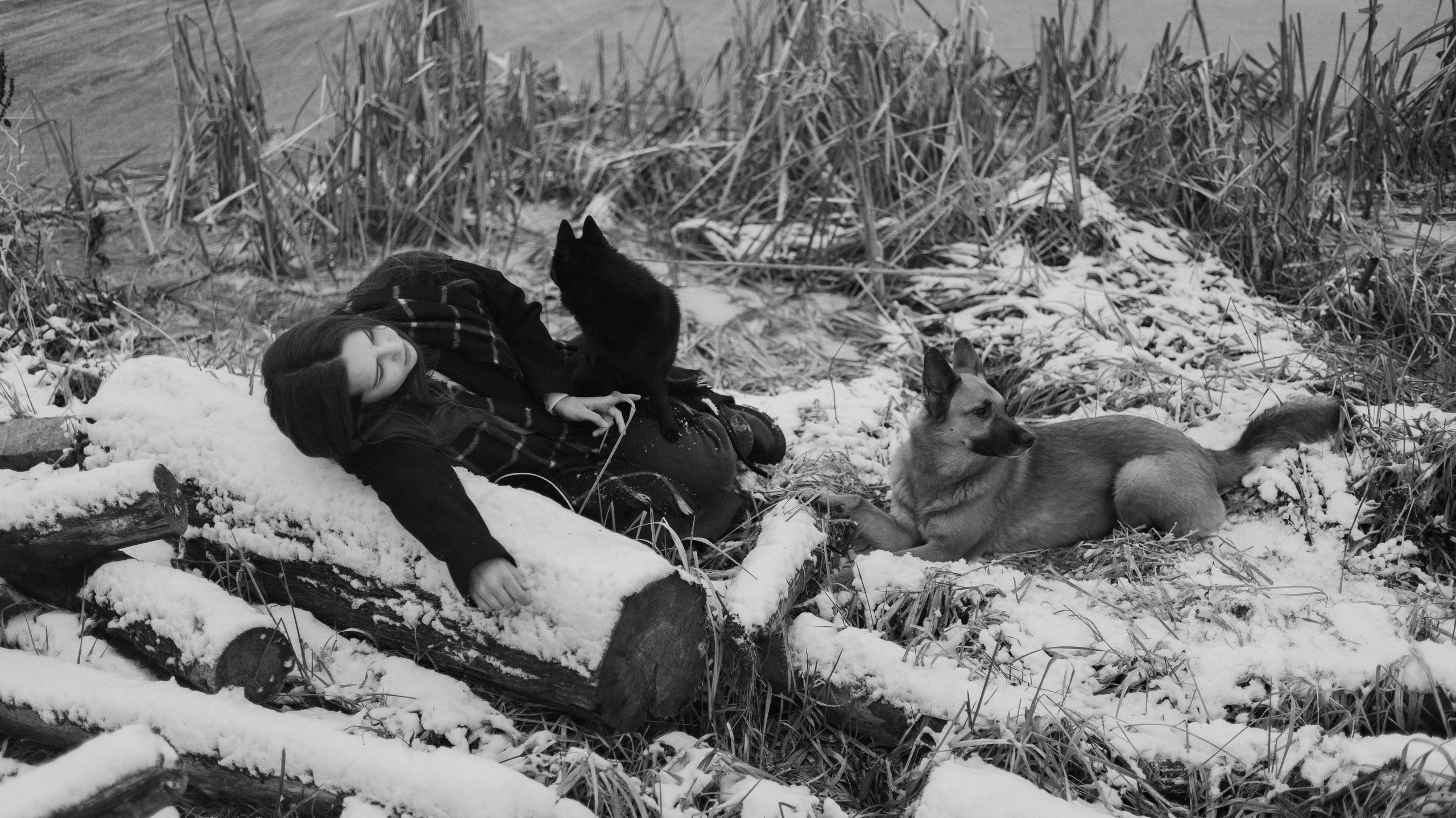 Юля, Лара и Йоми. Фотограф-анималист Богданова Полина