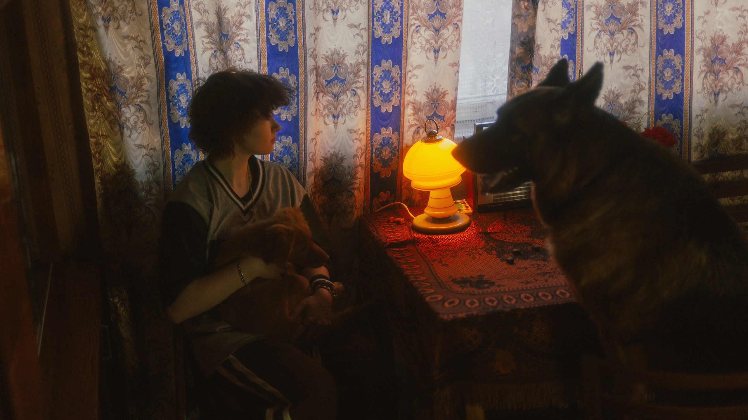 Лера, Реджи и Ральф. Фотограф-анималист Богданова Полина