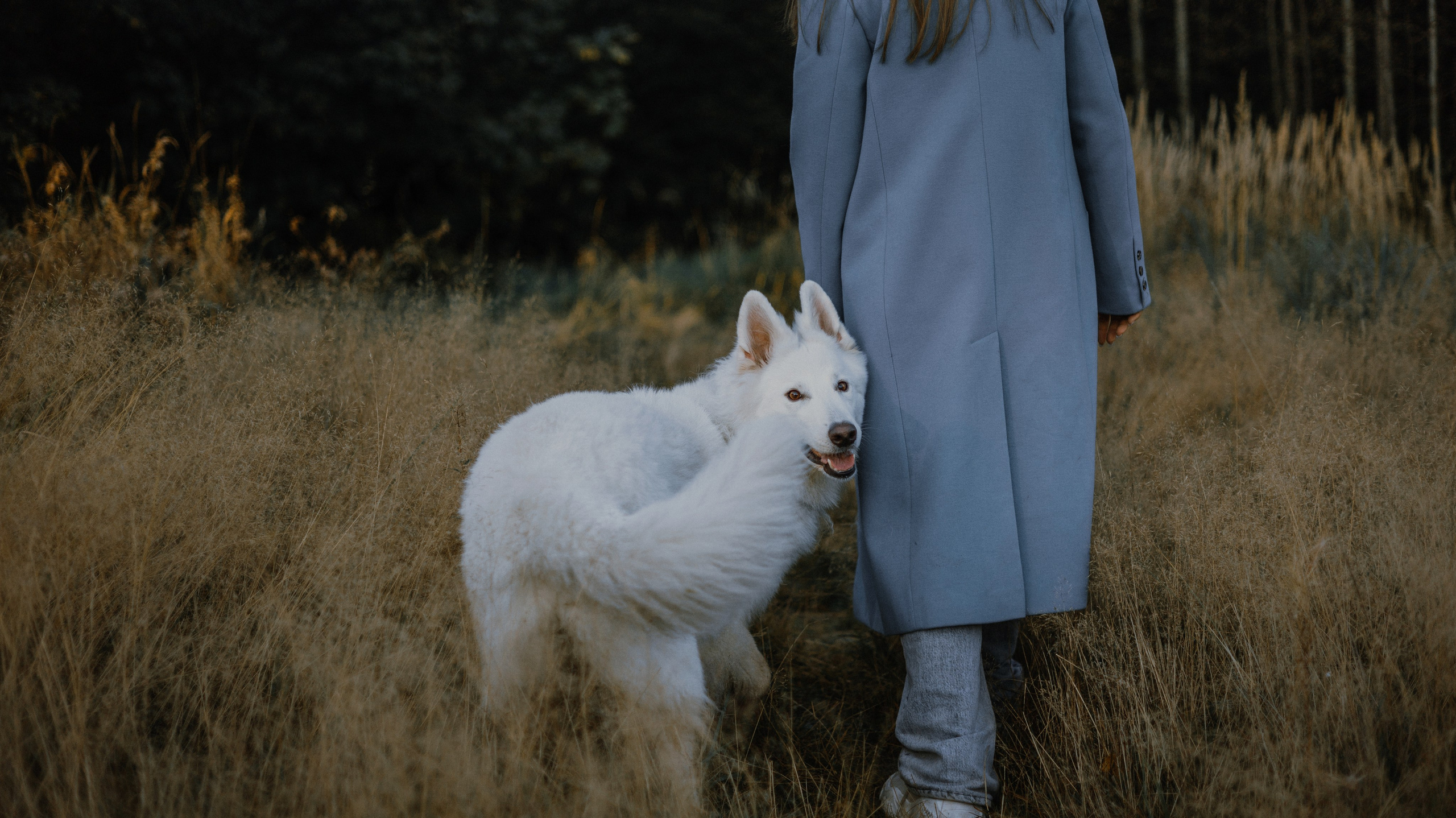 Вика и Уля. Фотограф-анималист Богданова Полина