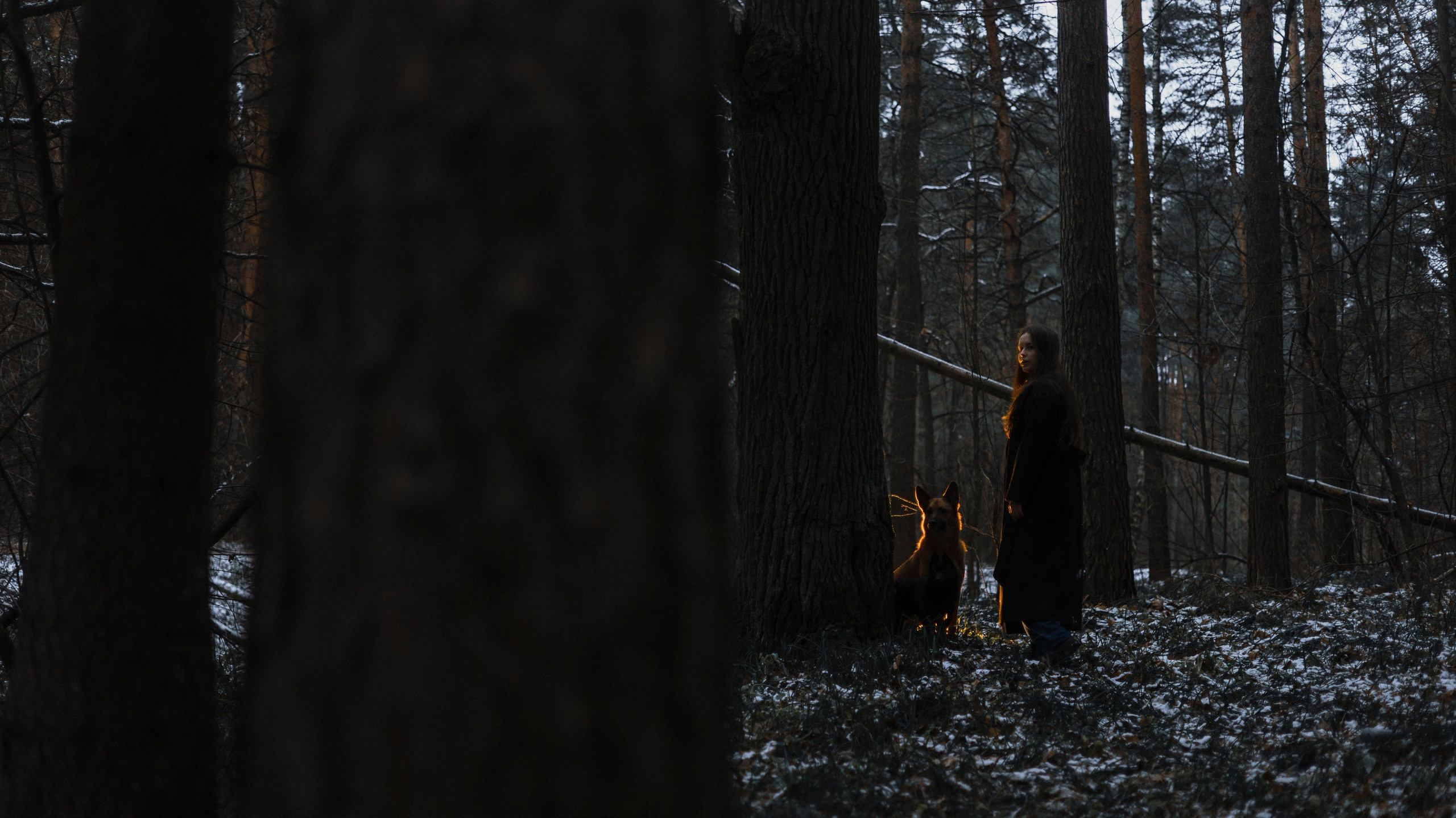 Юля, Лара и Йоми. Фотограф-анималист Богданова Полина