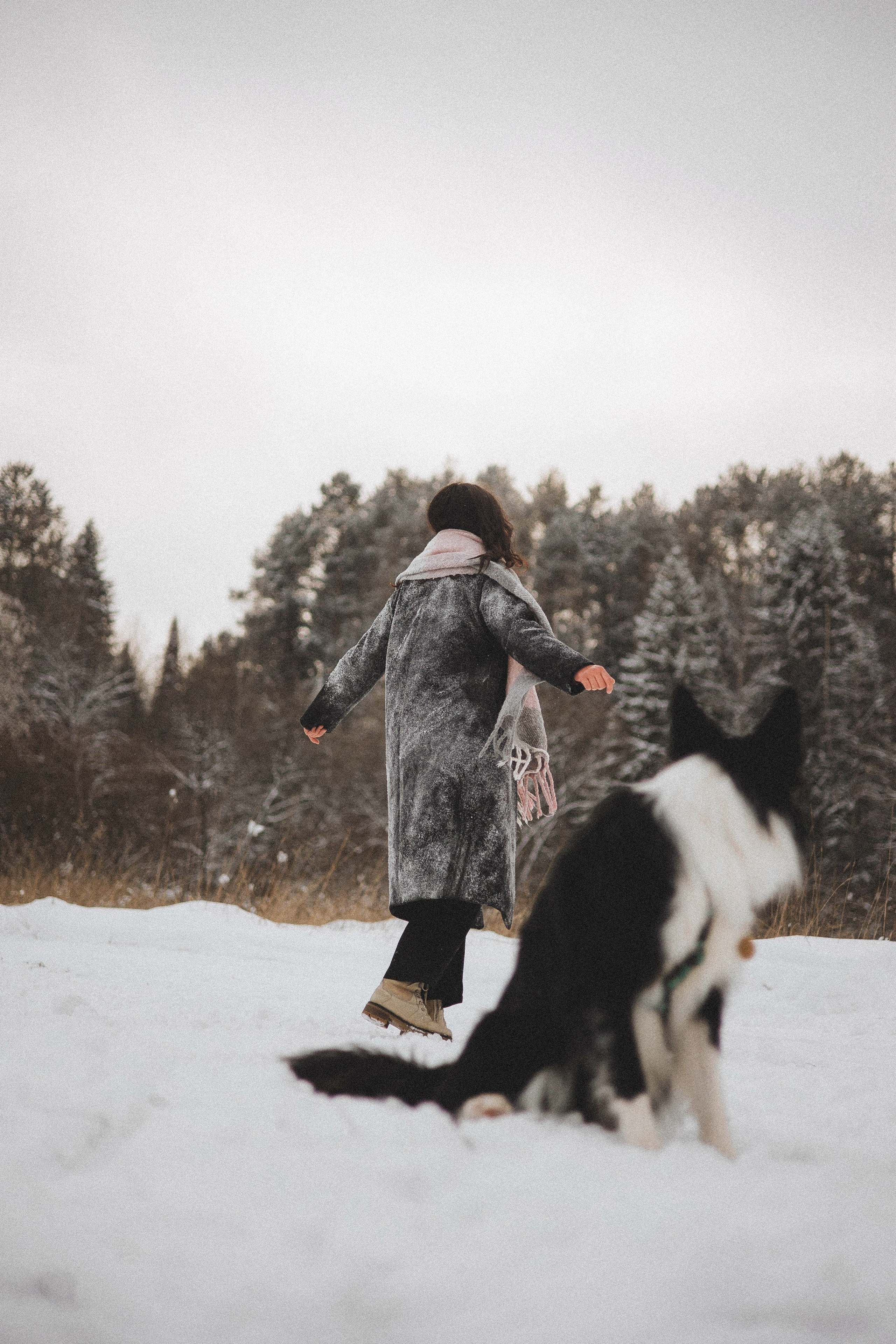 Алина и Найт. Фотограф-анималист Богданова Полина