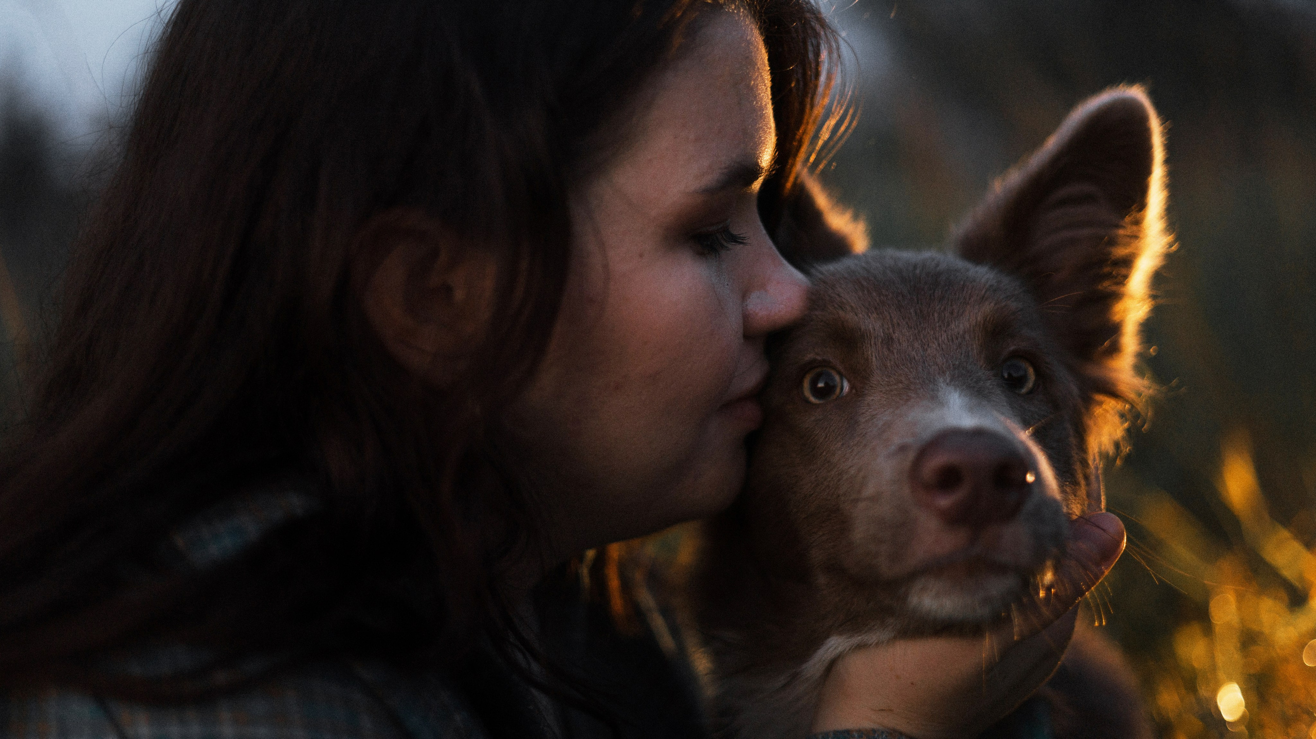 Полина и Паддингтон. Фотограф-анималист Богданова Полина