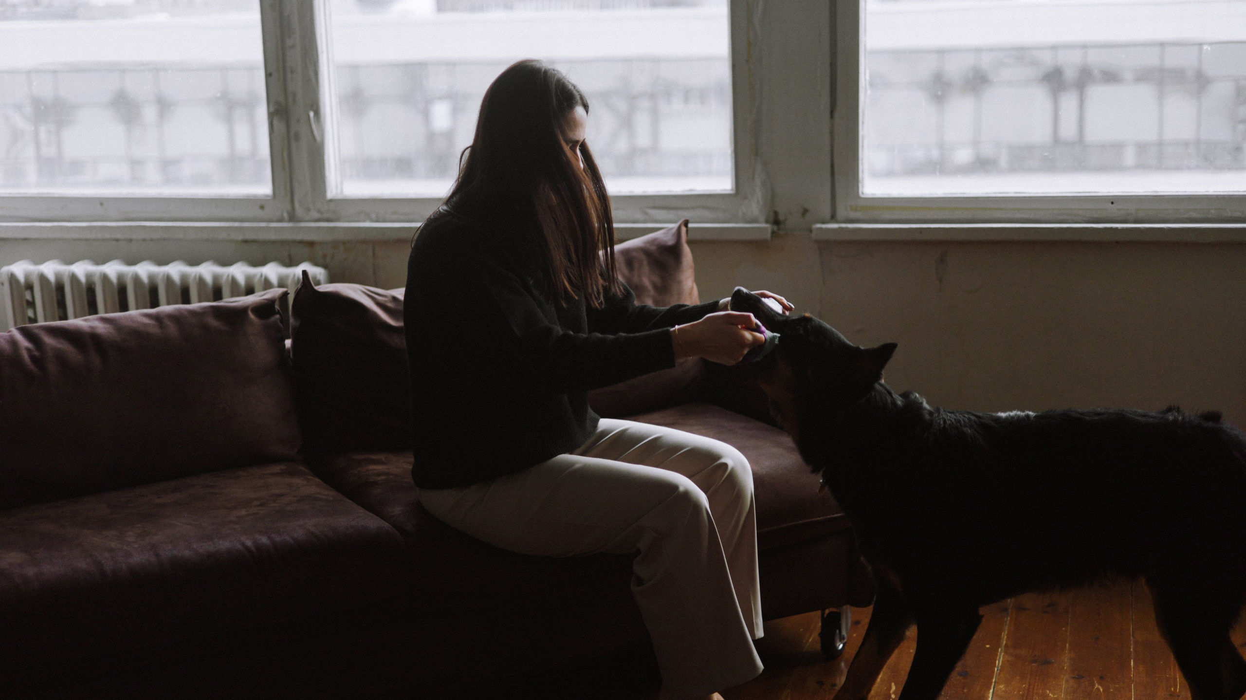 Полина и Зевс. Фотограф-анималист Богданова Полина