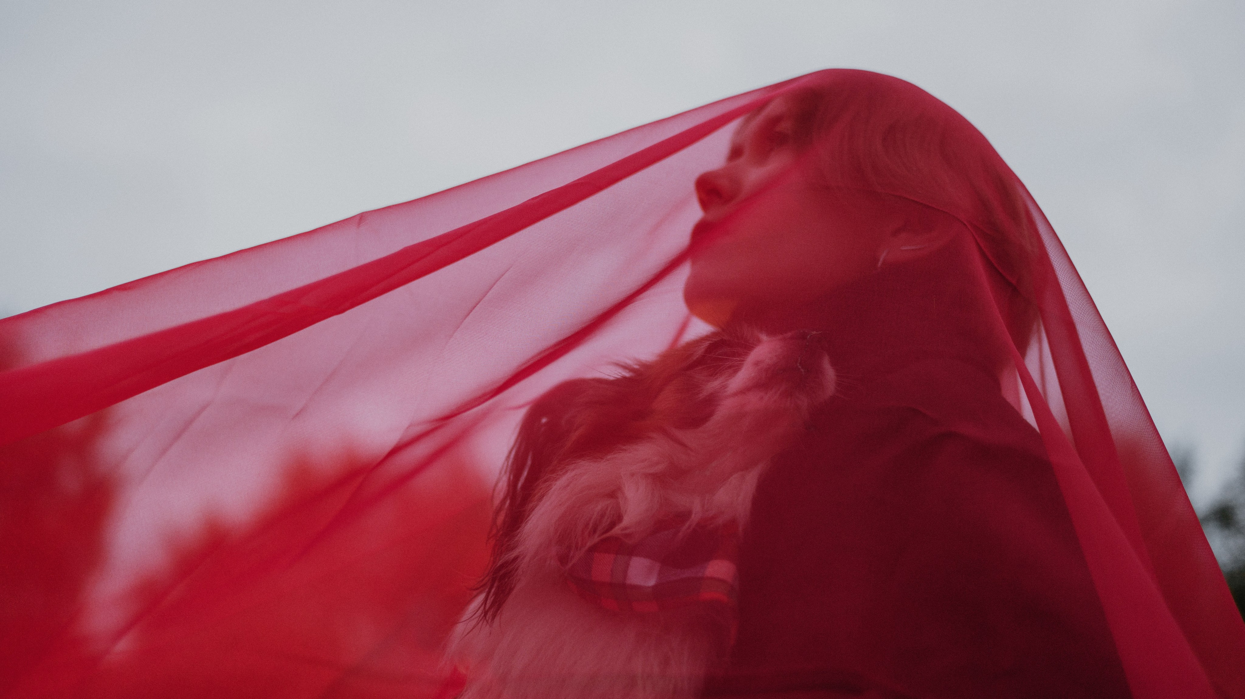 Маша, Катя, Астрид и Мася. Фотограф-анималист Богданова Полина