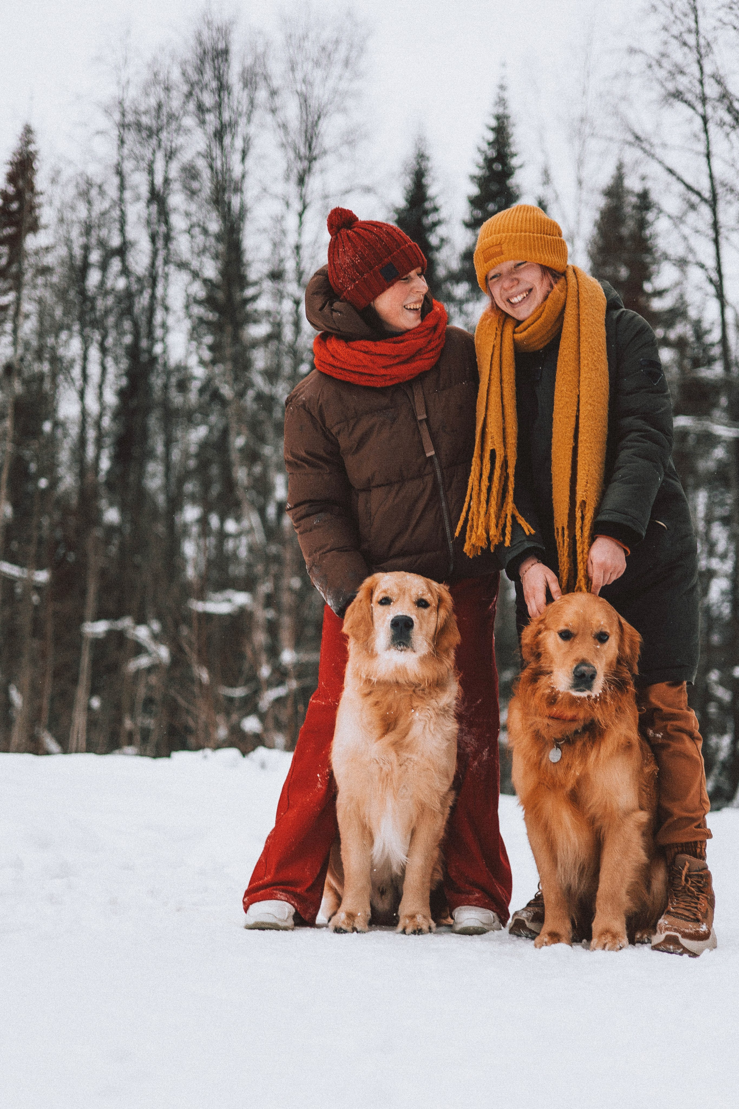 Саша, Юля, Грэй и Джой. Фотограф-анималист Богданова Полина