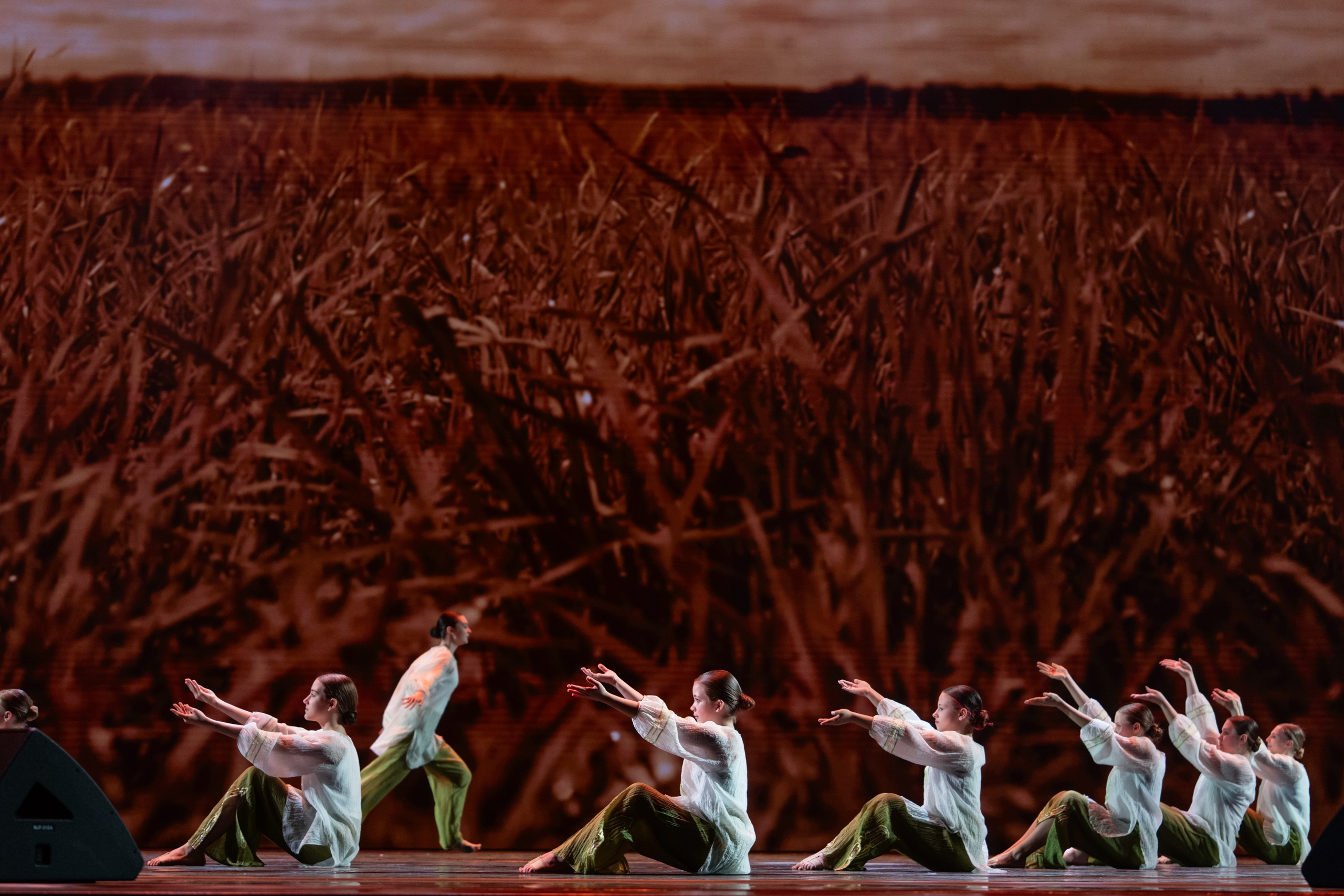 18 мая, г. Москва, Кремль, Концерт. Золотое яблочко