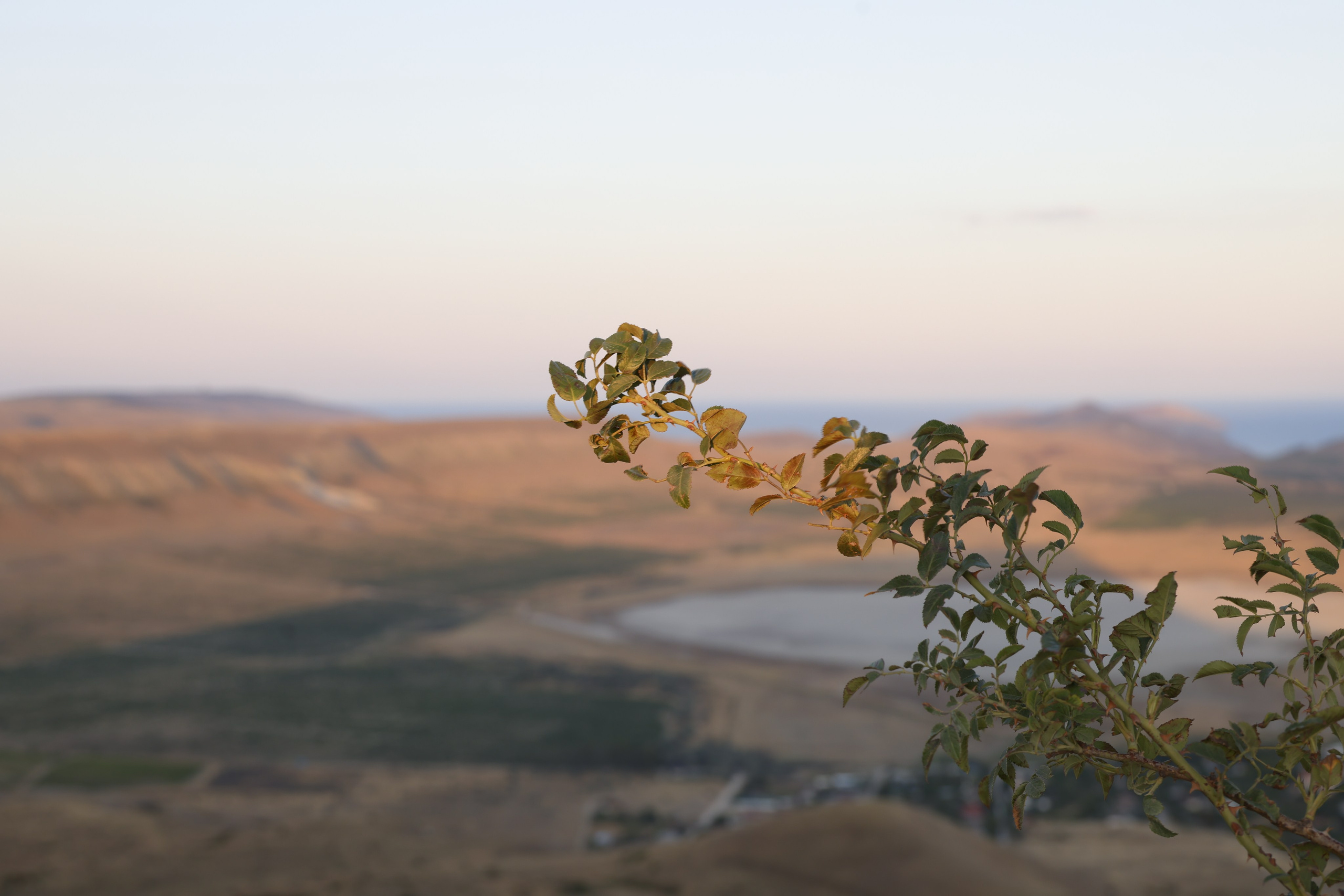 Пейзаж. Фотохудожник BID