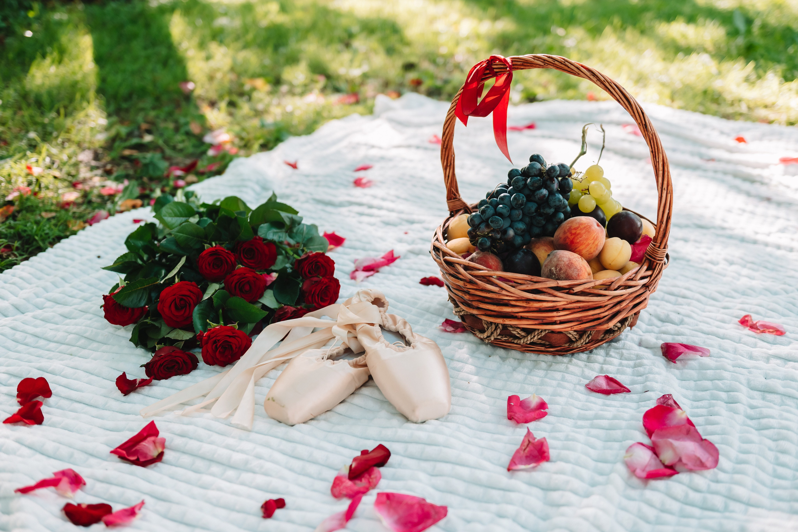 LEVITA (пикник)