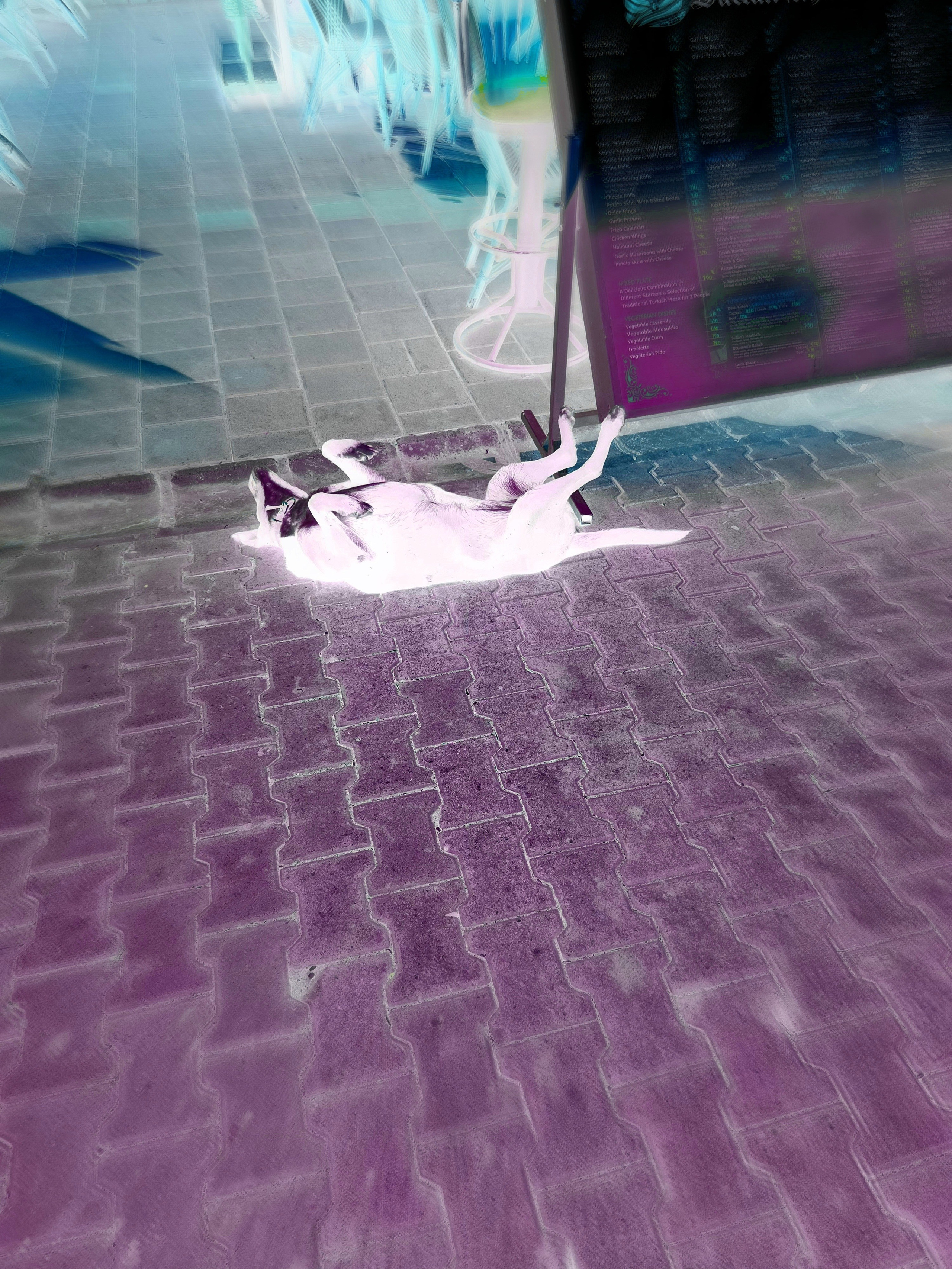 HEROES. VISUAL ARTIST