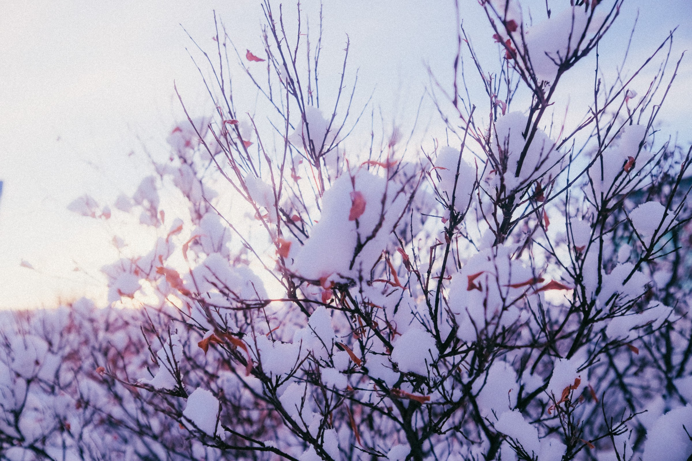 Пейзажи. Фотография и видео г. Анадырь Ильнур Шакиров