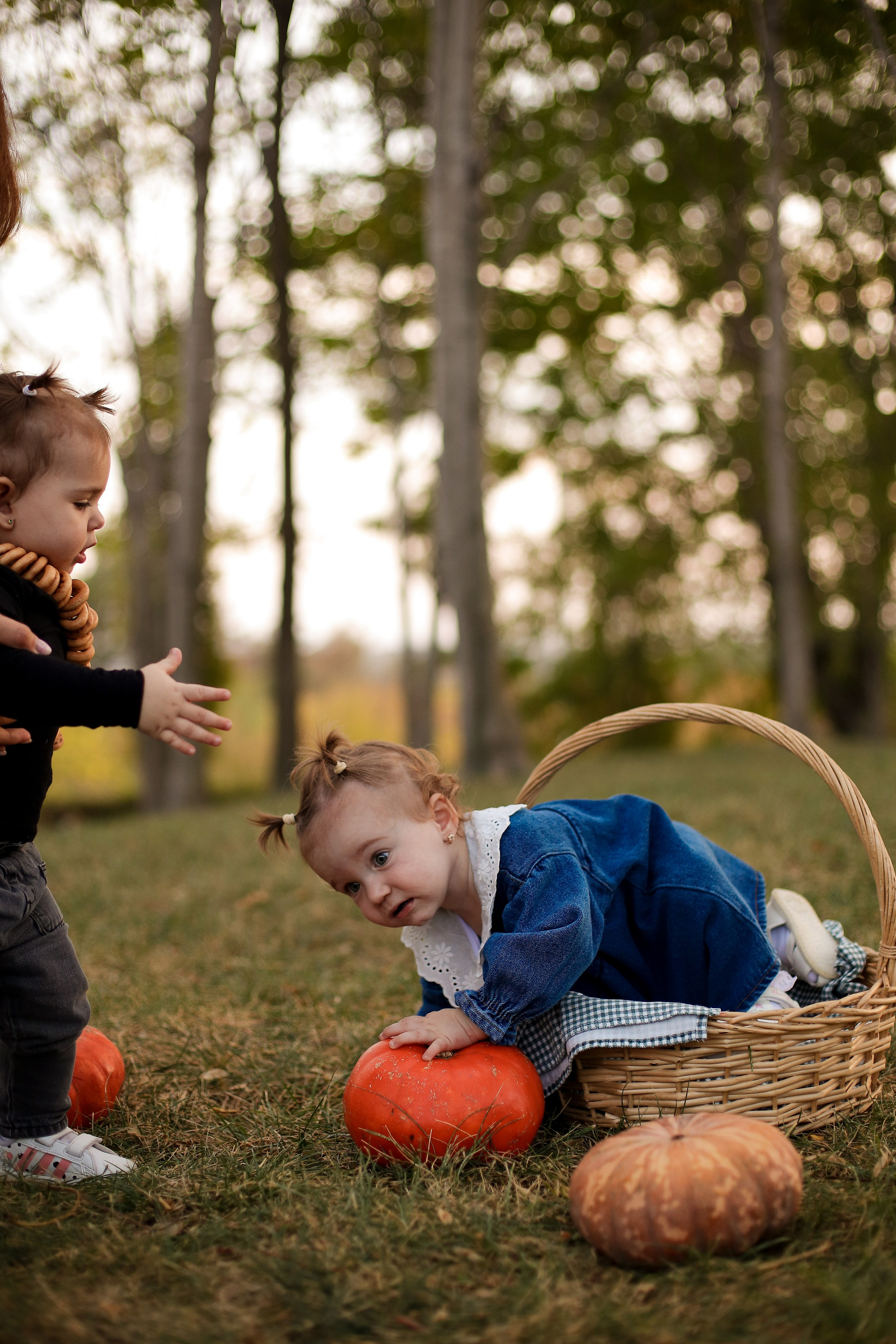 Семейные. Фотограф в Анапе и Геленджике