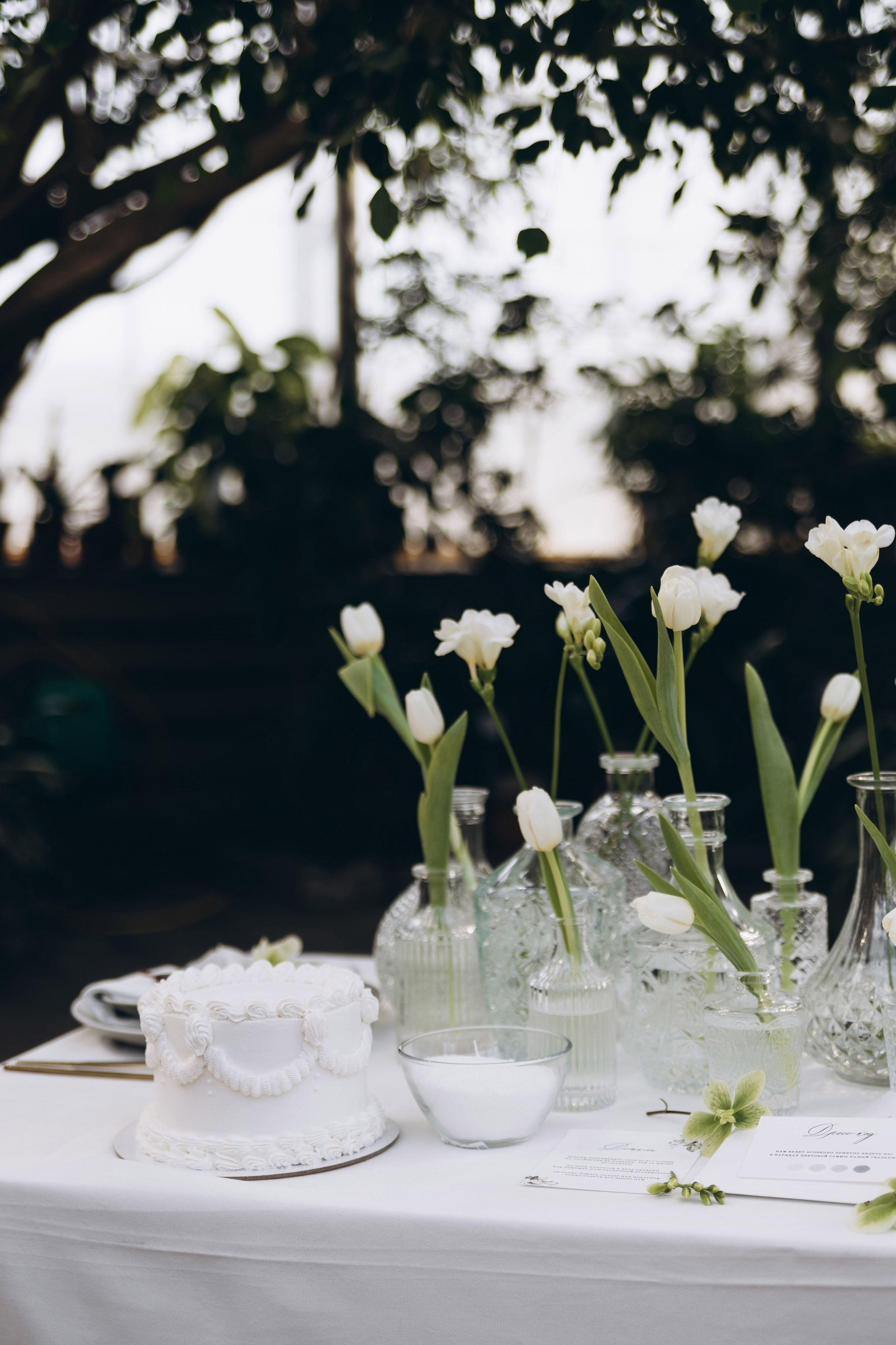 16.03.25 Михаил & Анастасия. Свадебный и семейный фотограф в Новосибирске Дарья Кель