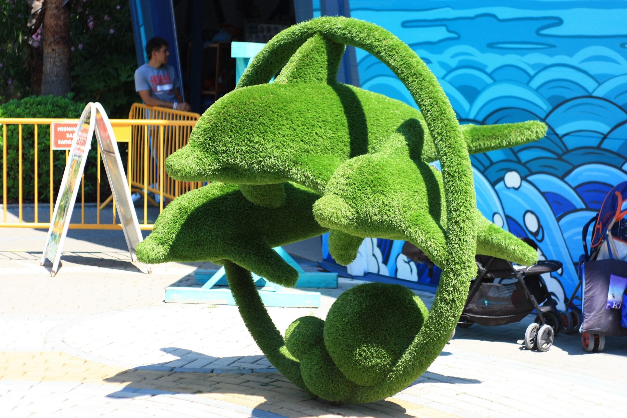 Первые кадры. Сочи — парк. Фотограф Роман Адлер