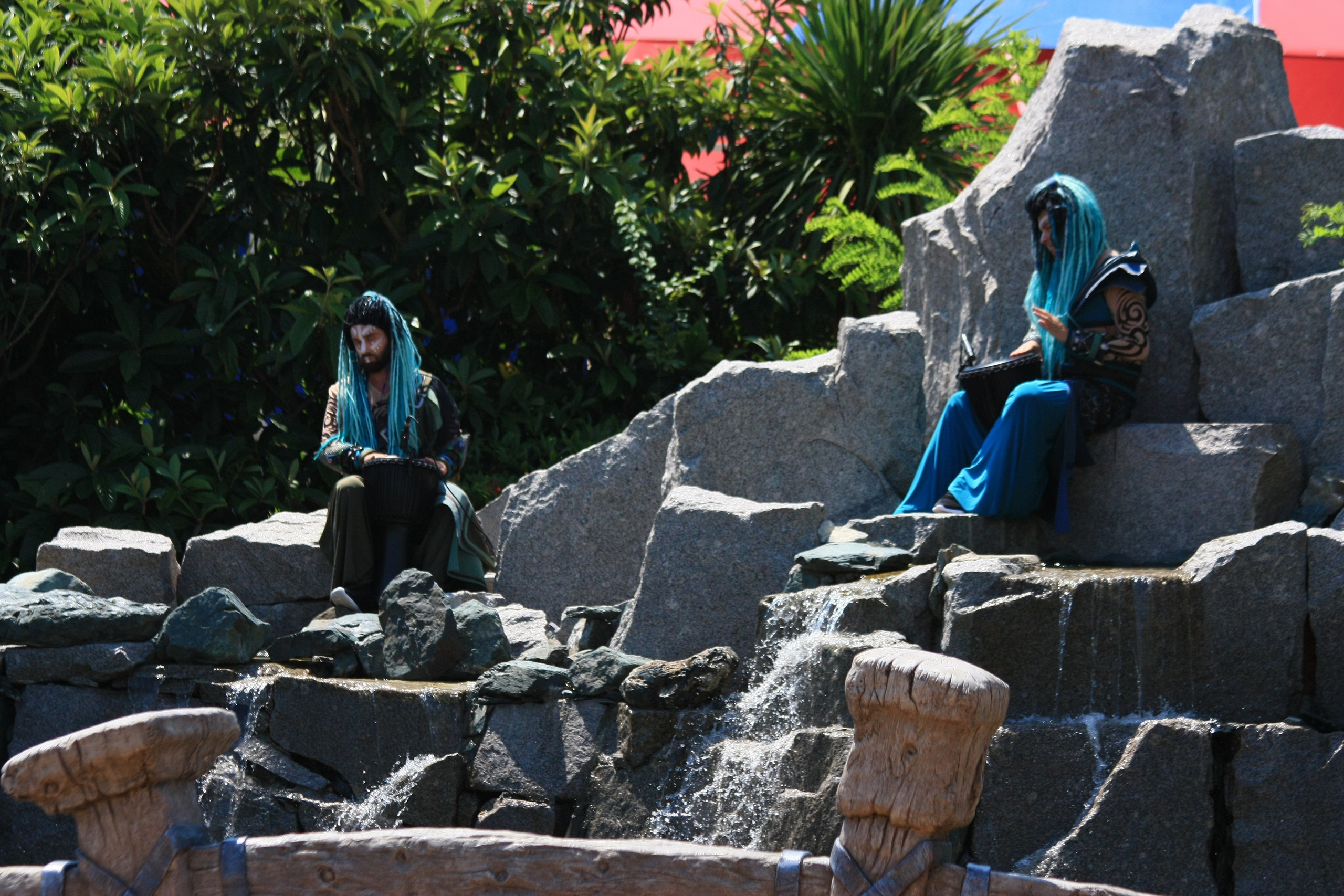 Первые кадры. Сочи — парк. Фотограф Роман Адлер