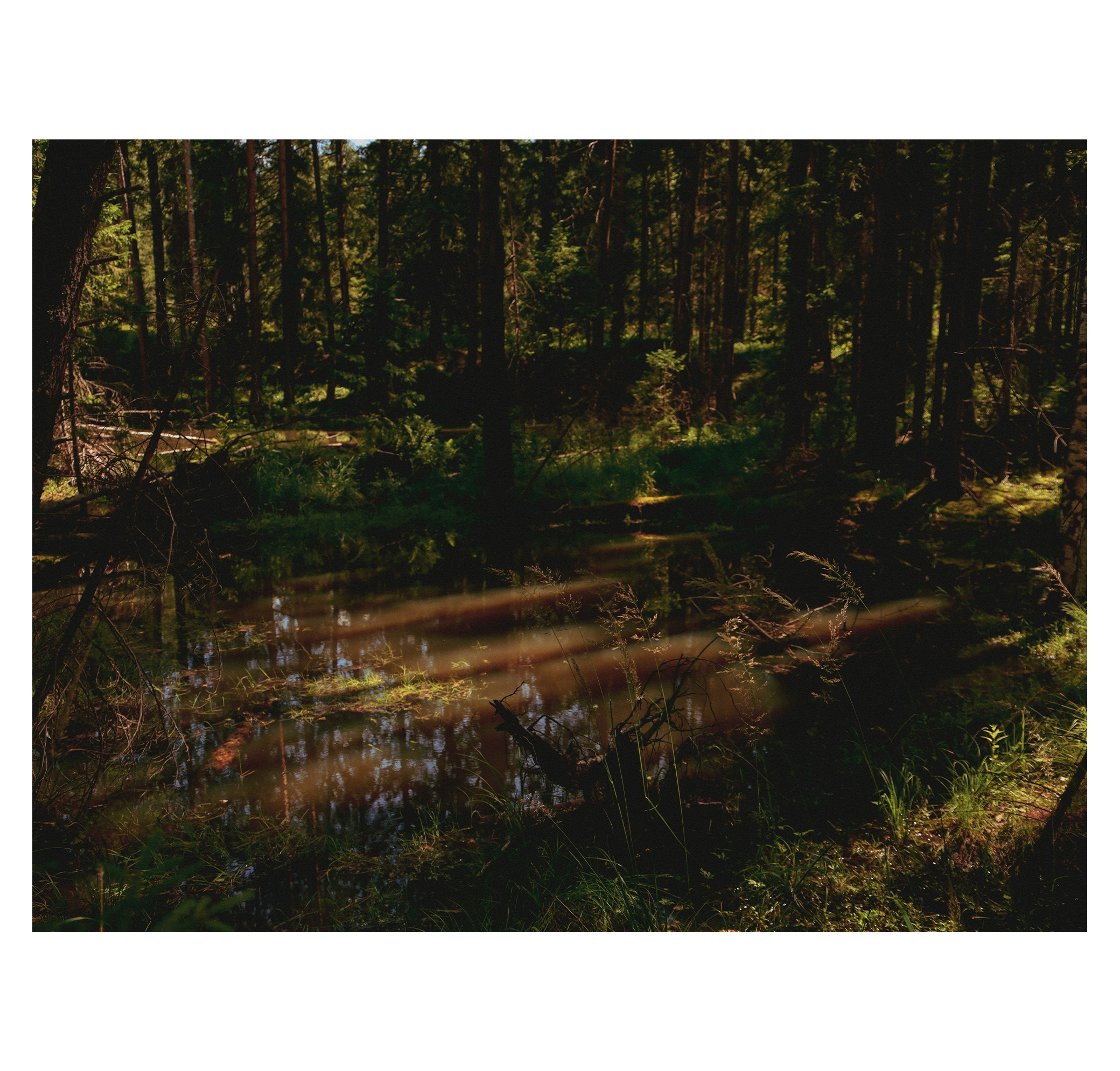 Summer hike. Фотограф/дизайнер в Екатеринбурге Хитрый Дмитрий