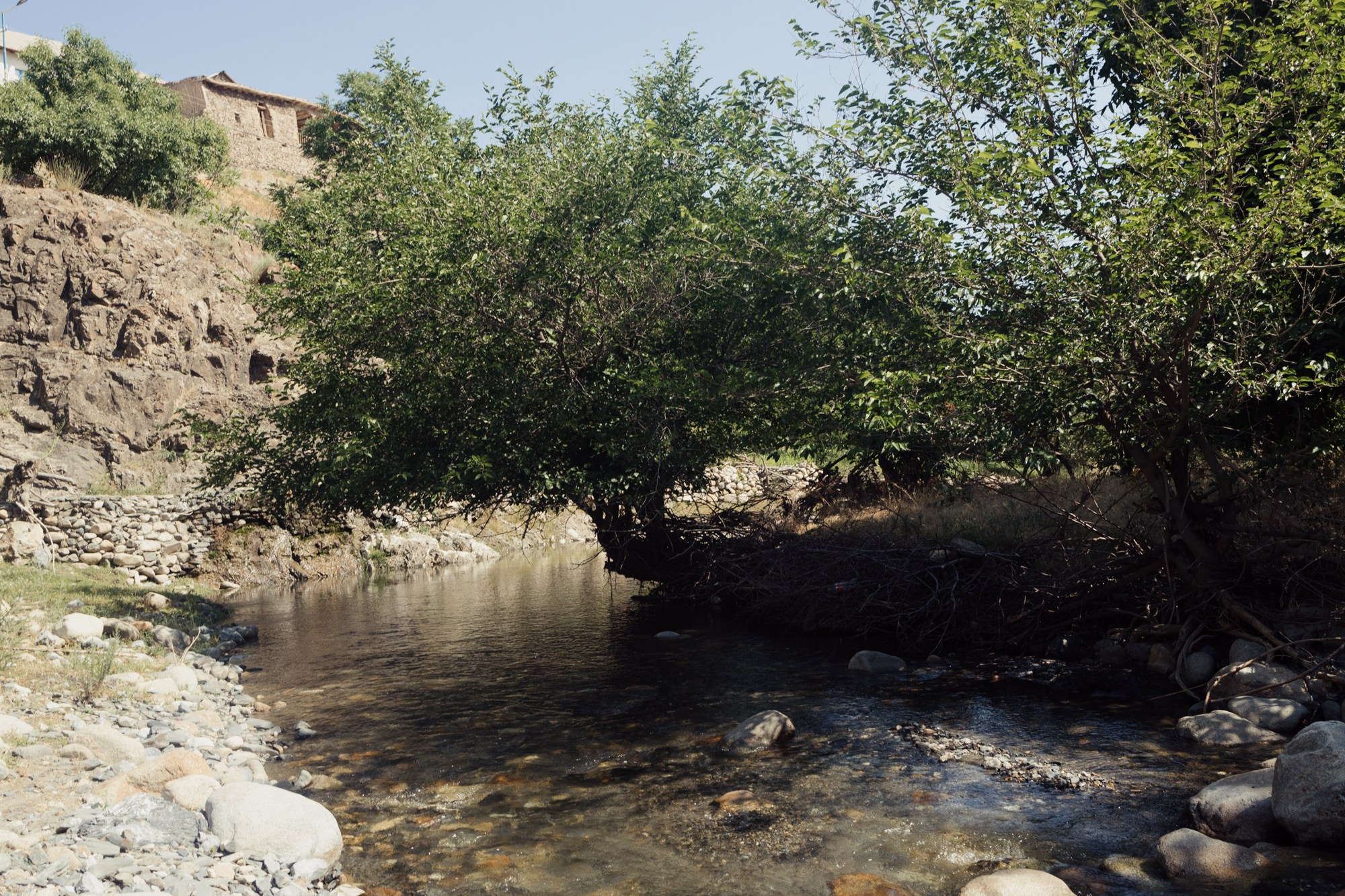 Uzbekistan daily. Commerce & art photographer