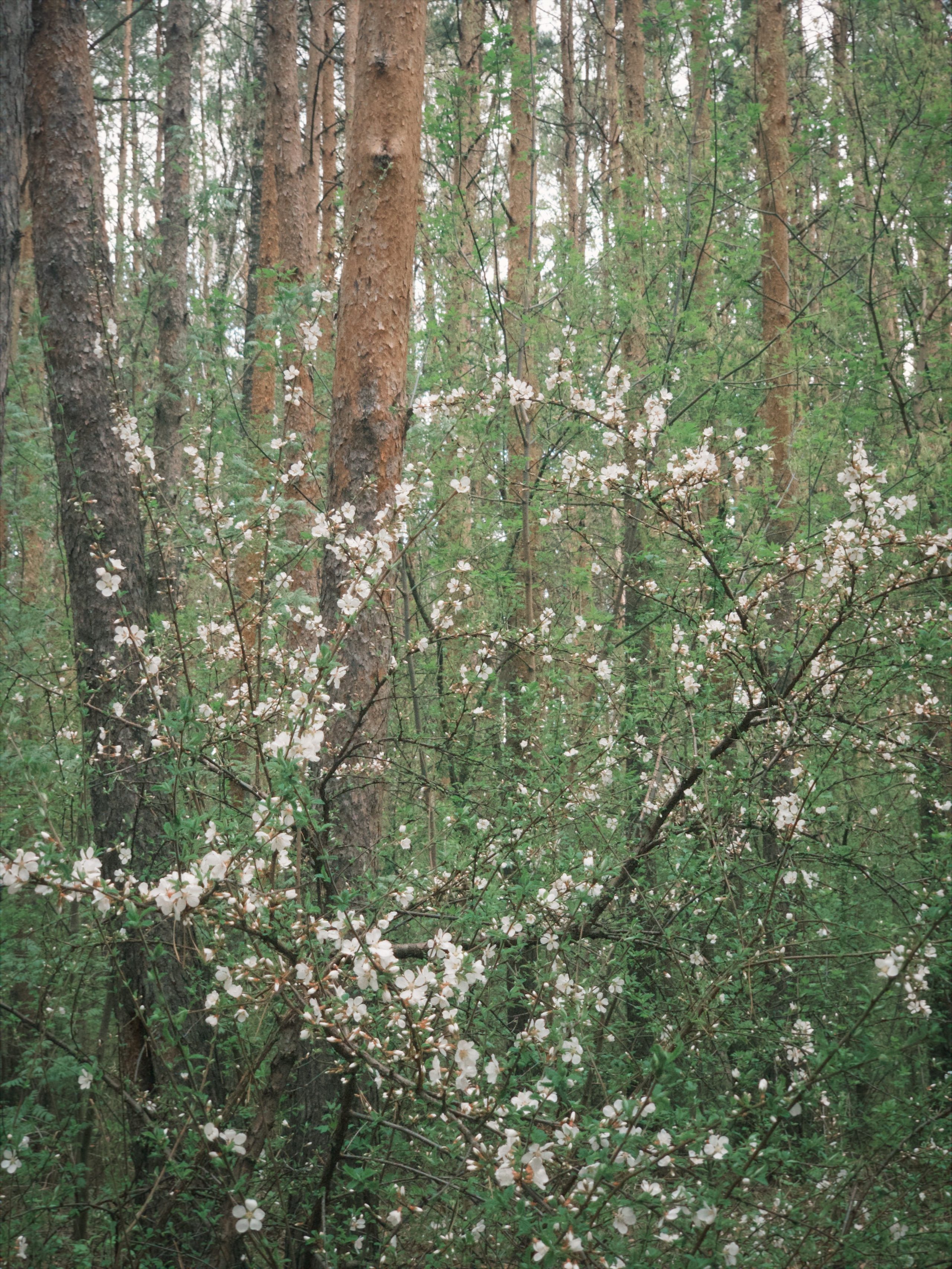 Работы. Фотограф тюмень москва ксения половодова