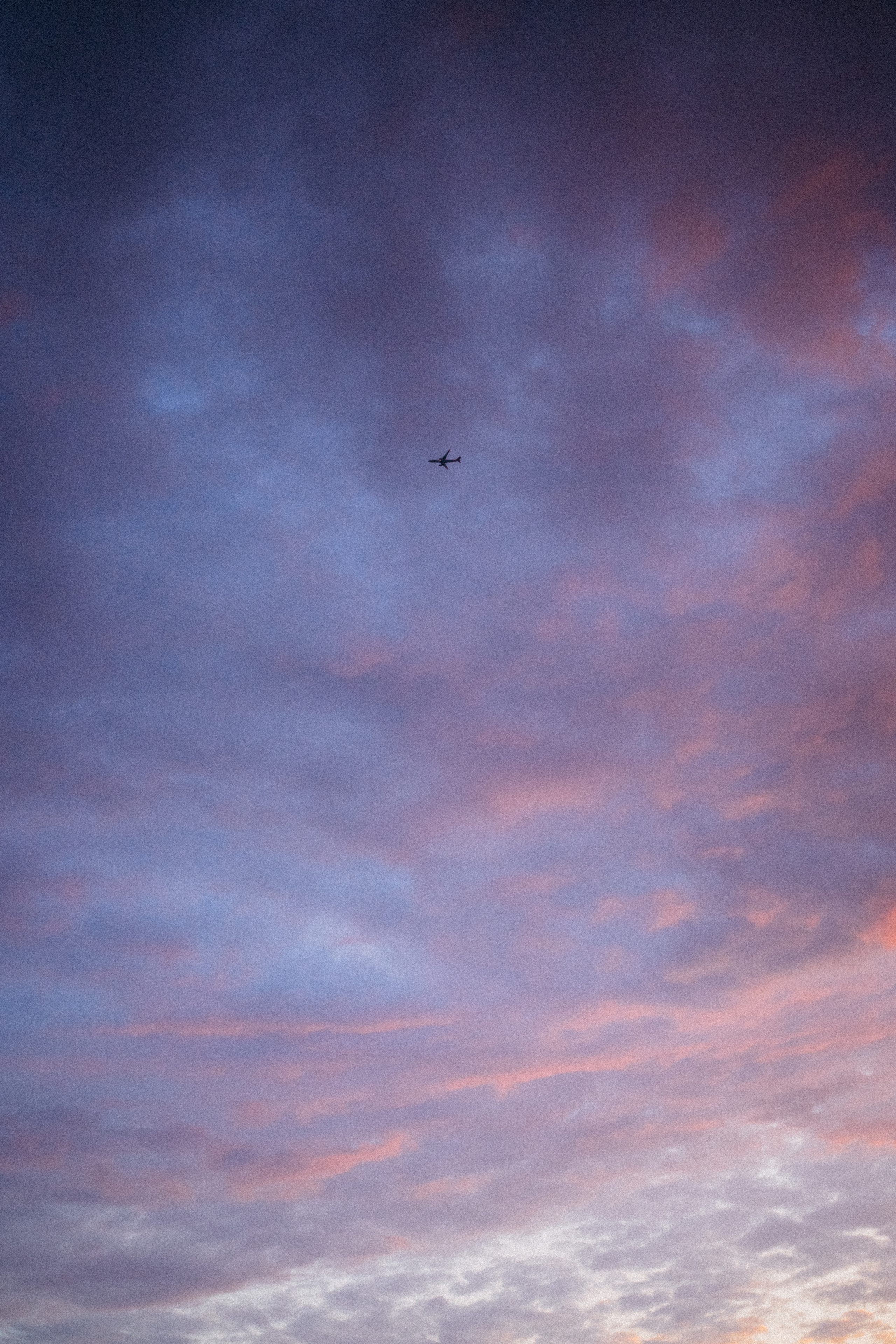 Лето. Рассвет. Питер. Даша Яковенко Фотограф Спб