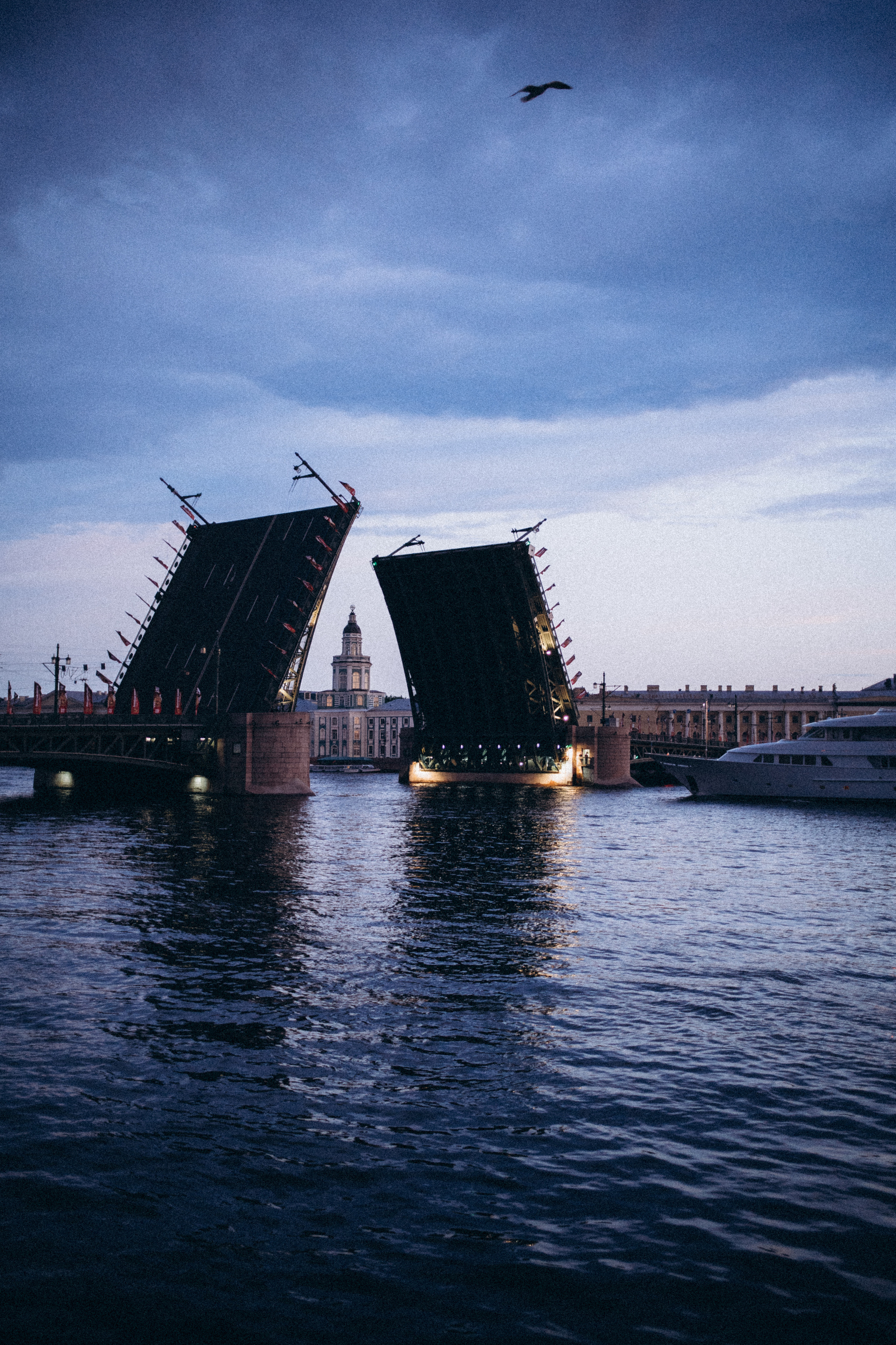 Лето. Рассвет. Питер. Даша Яковенко Фотограф Спб
