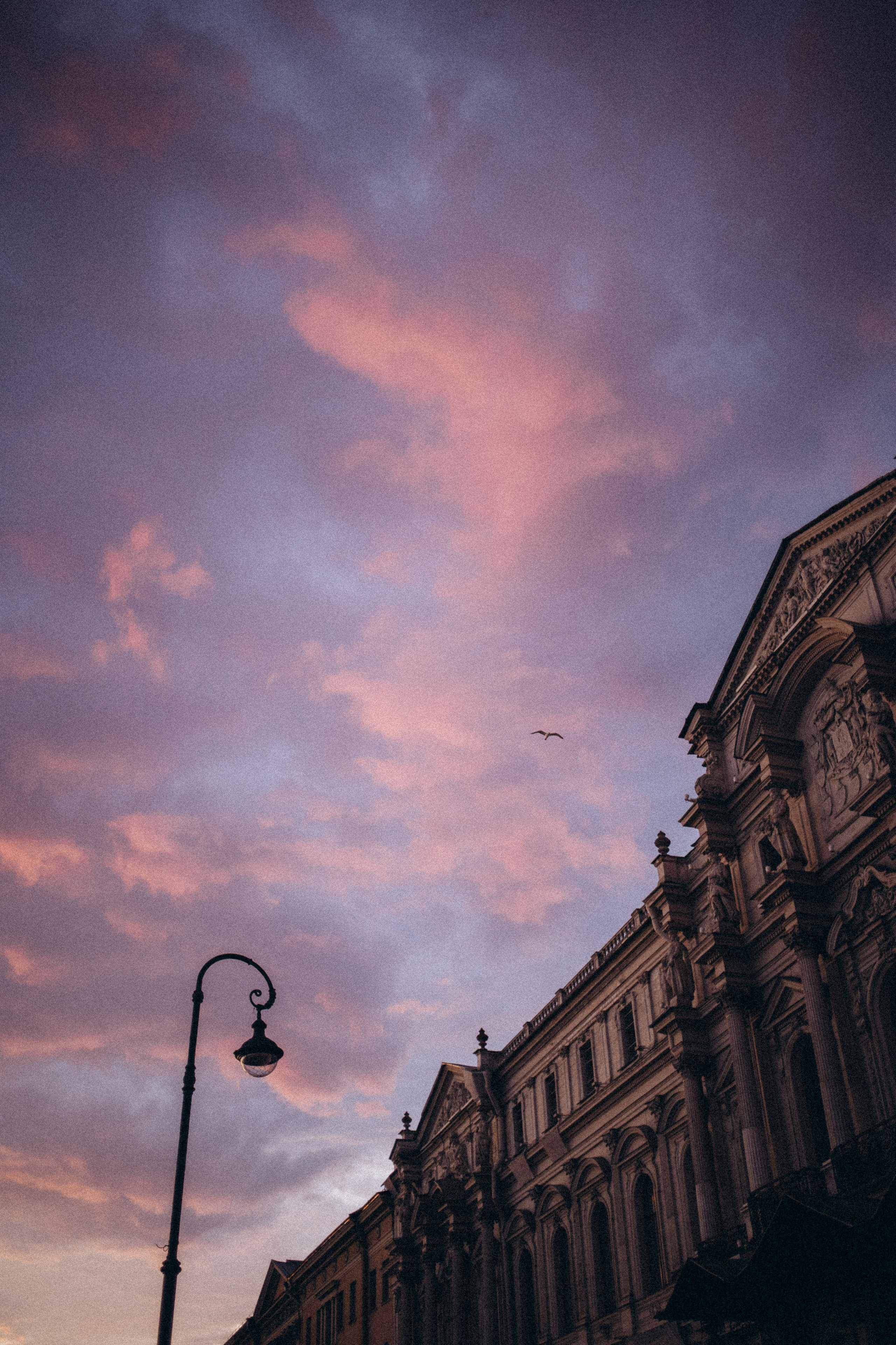 Лето. Рассвет. Питер. Даша Яковенко Фотограф Спб